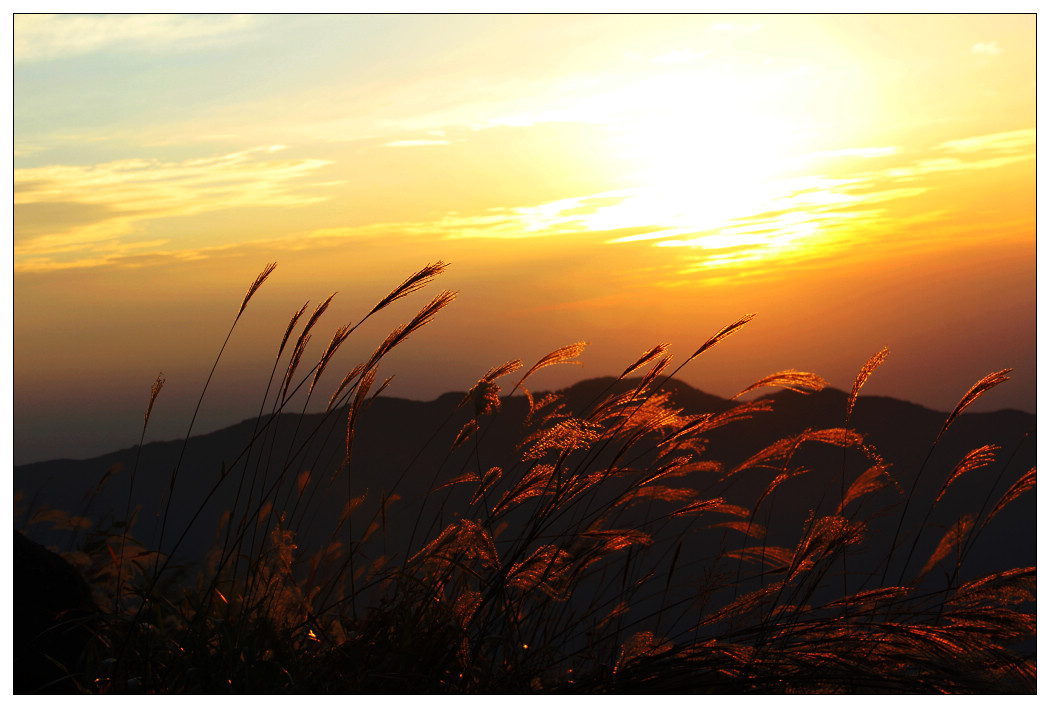 ��Ƭ 059_nEO_IMG.jpg