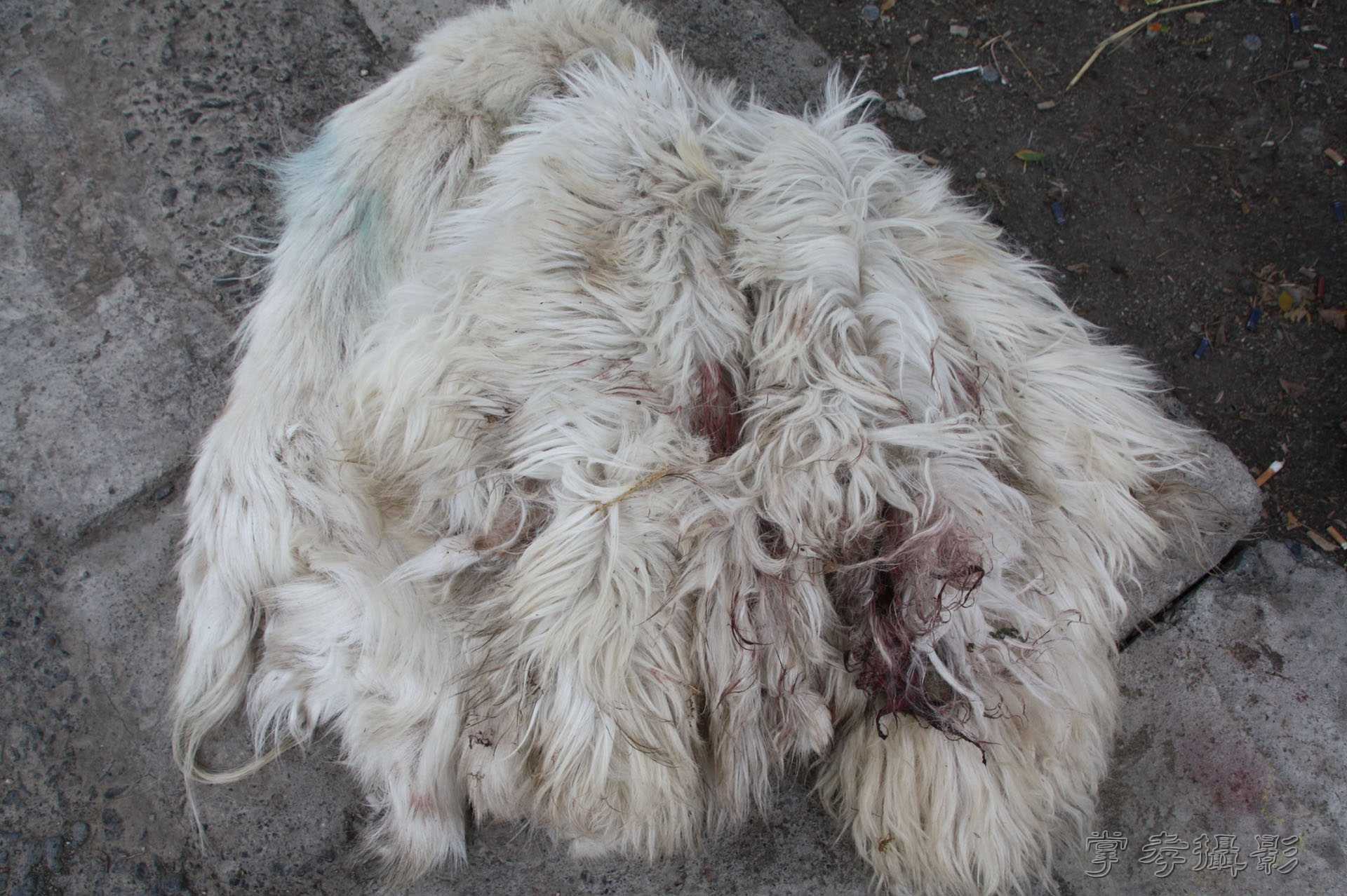 ͽ����Խ��ɽ����̾�����½� (12).jpg