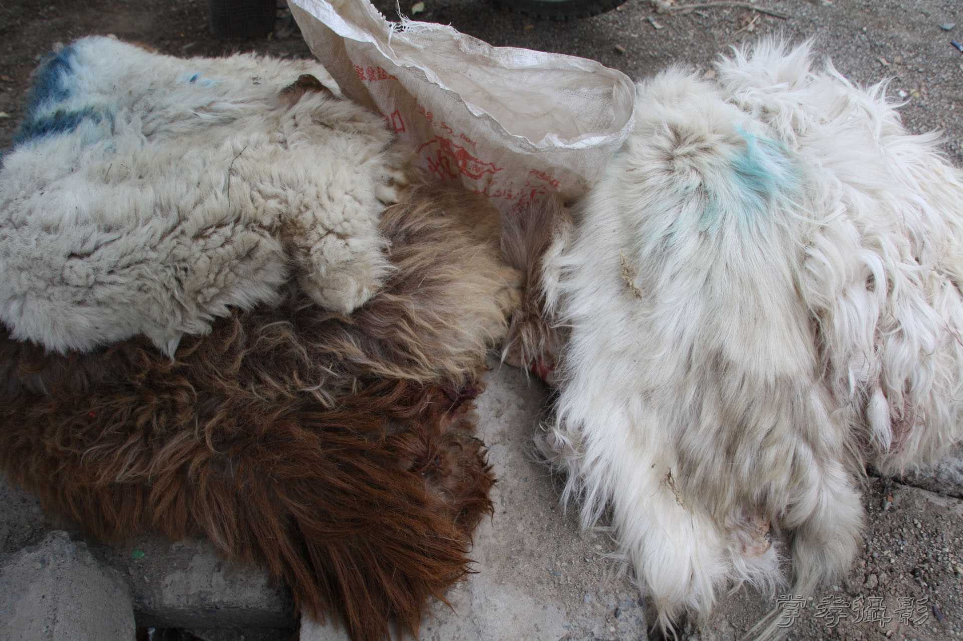 ͽ����Խ��ɽ����̾�����½� (14).jpg