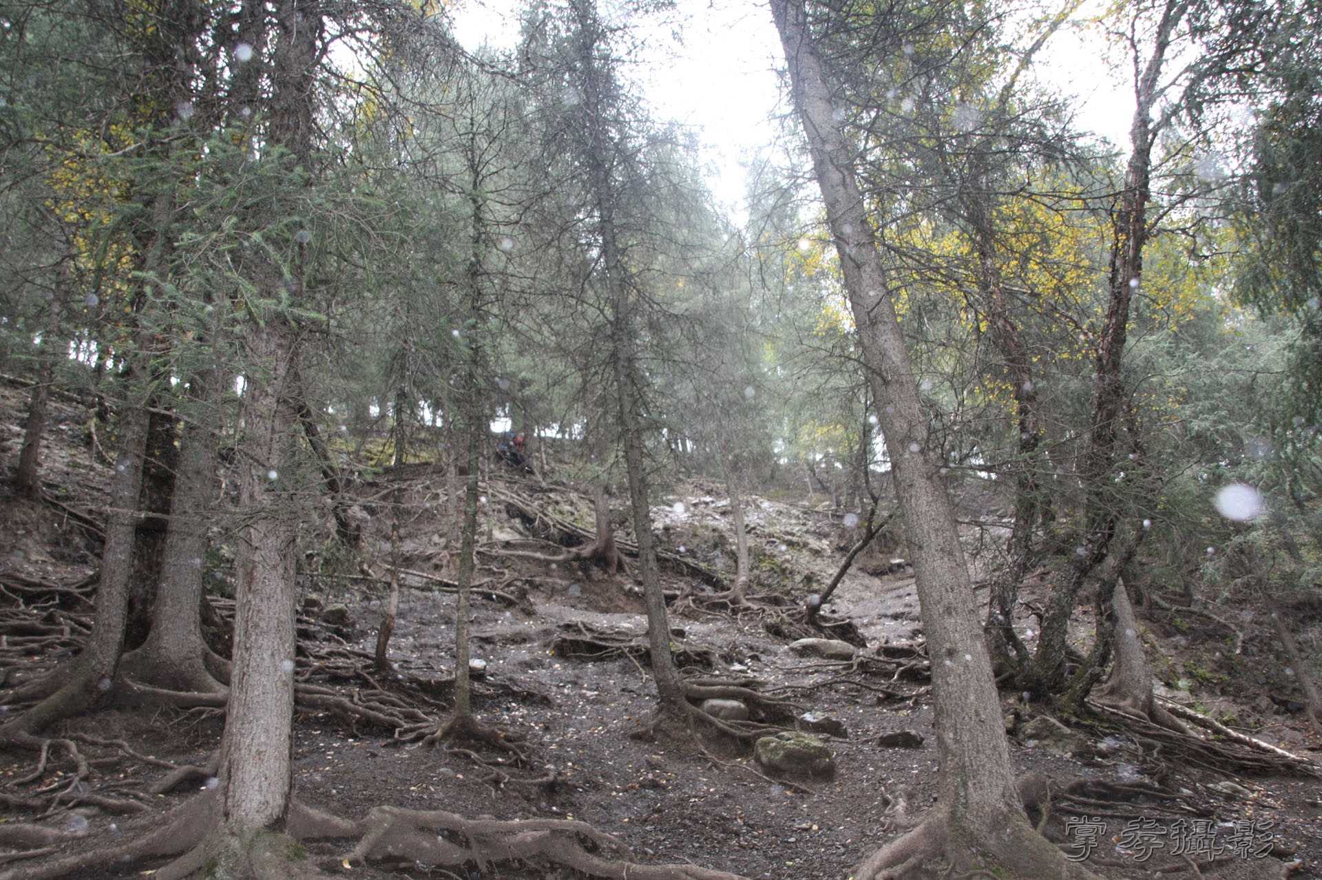 ͽ����Խ��ɽ����̾�����½� (48).jpg