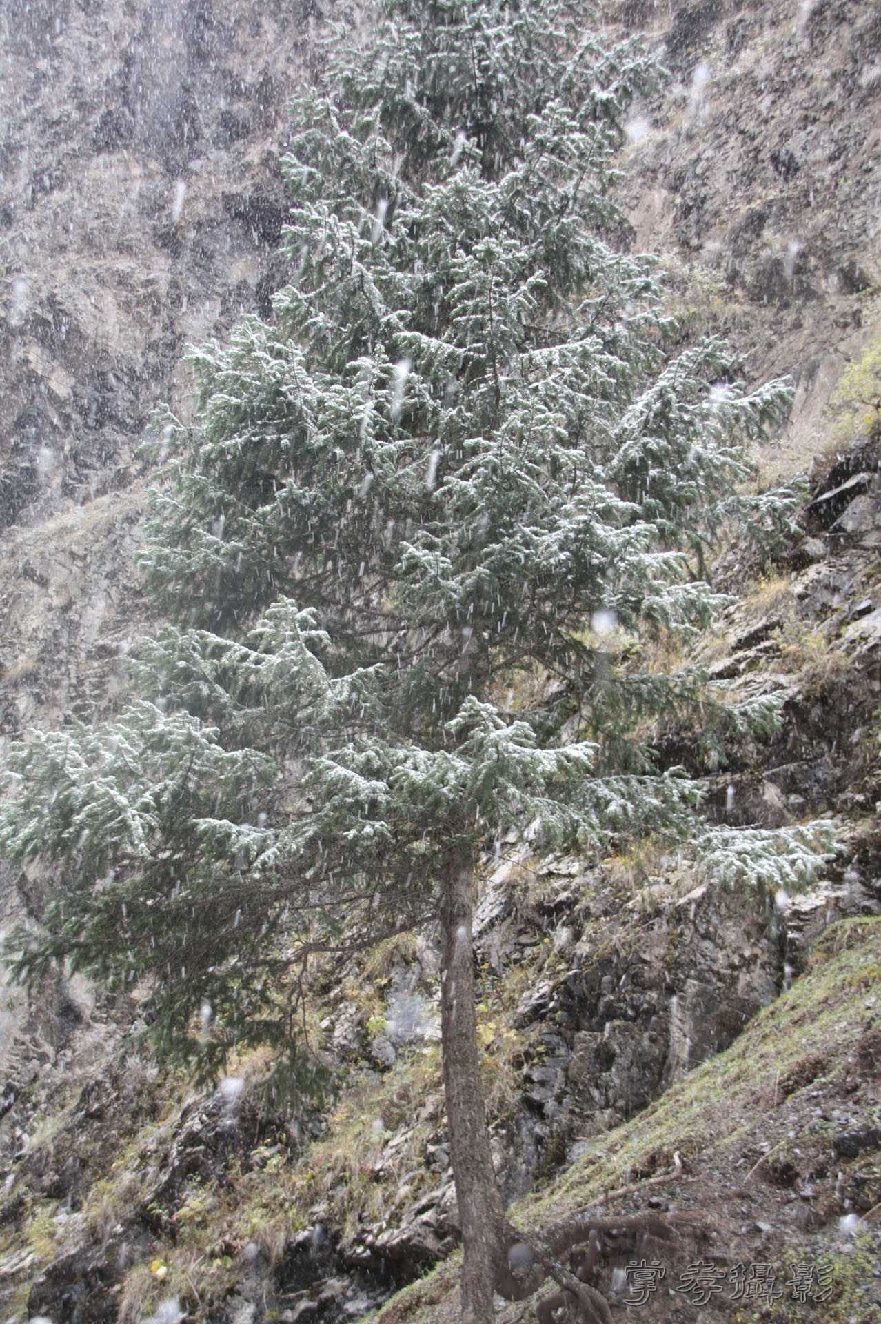 ͽ����Խ��ɽ����̾�����½� (96).jpg