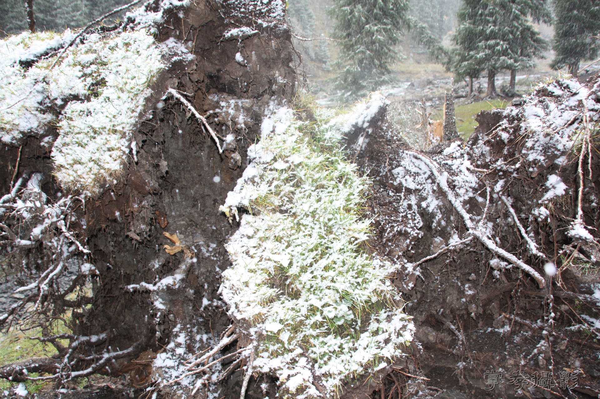 ͽ����Խ��ɽ����̾�����½� (116).jpg