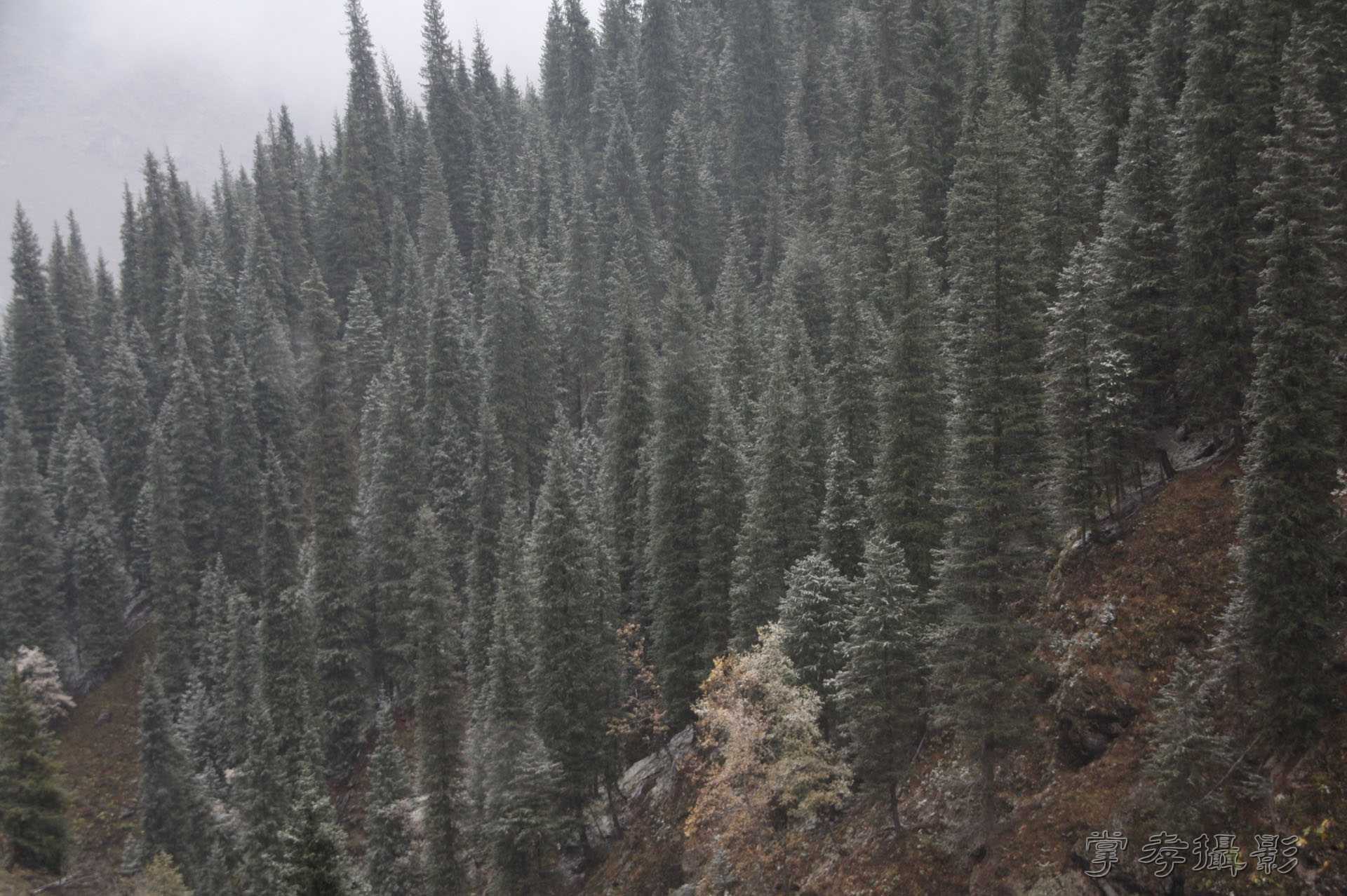 ͽ����Խ��ɽ����̾�����½� (130).jpg