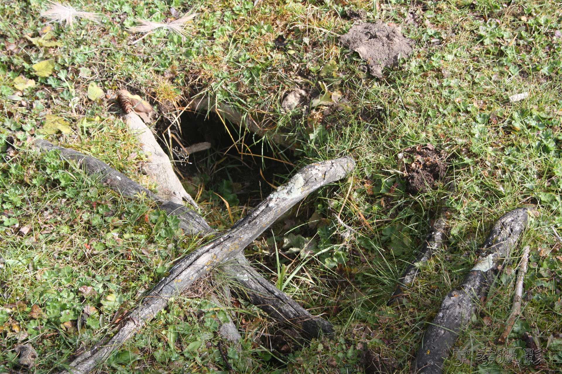 ͽ����Խ��ɽ����̾�����½� (190).jpg