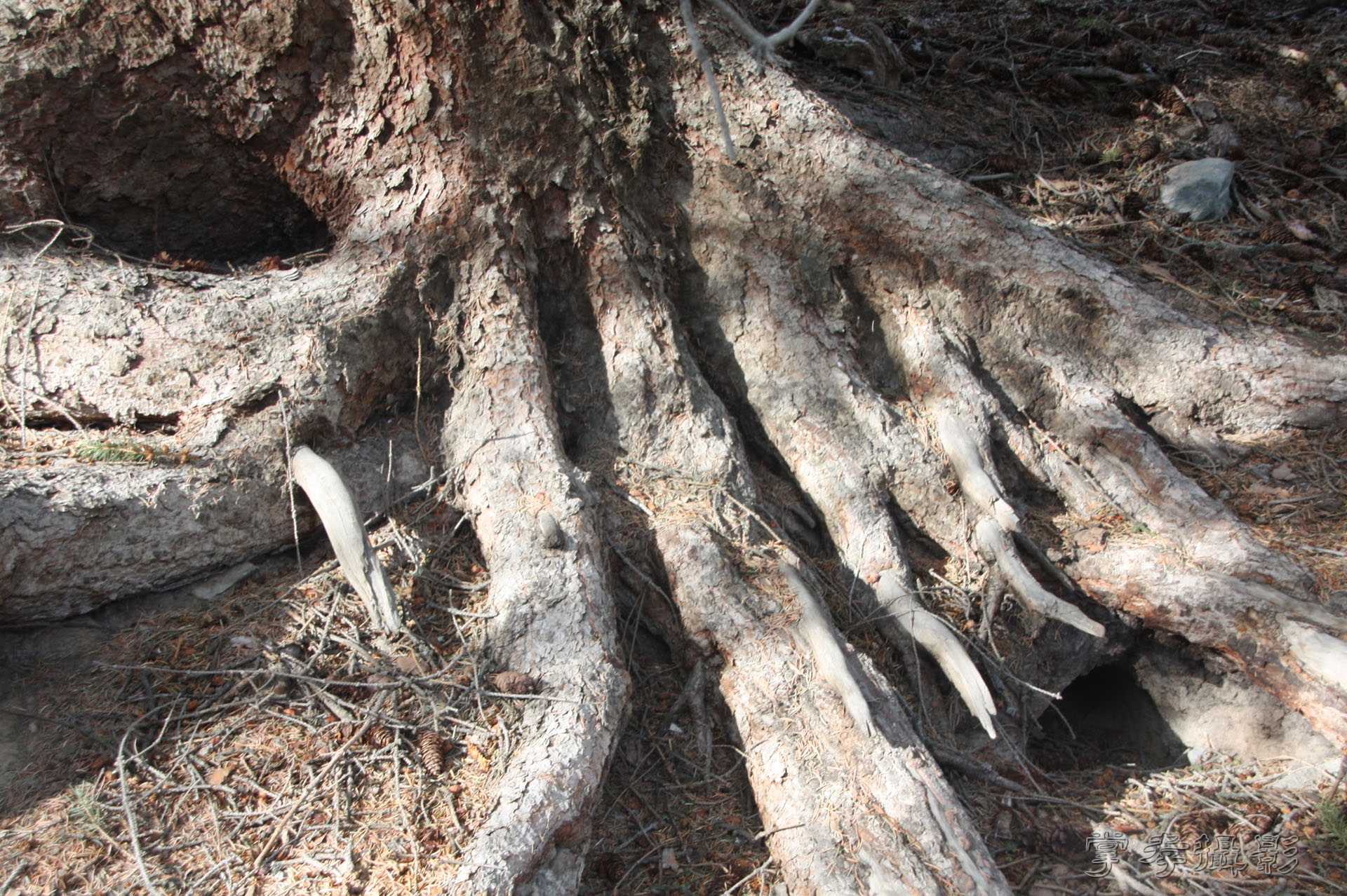 ͽ����Խ��ɽ����̾�����½� (189).jpg