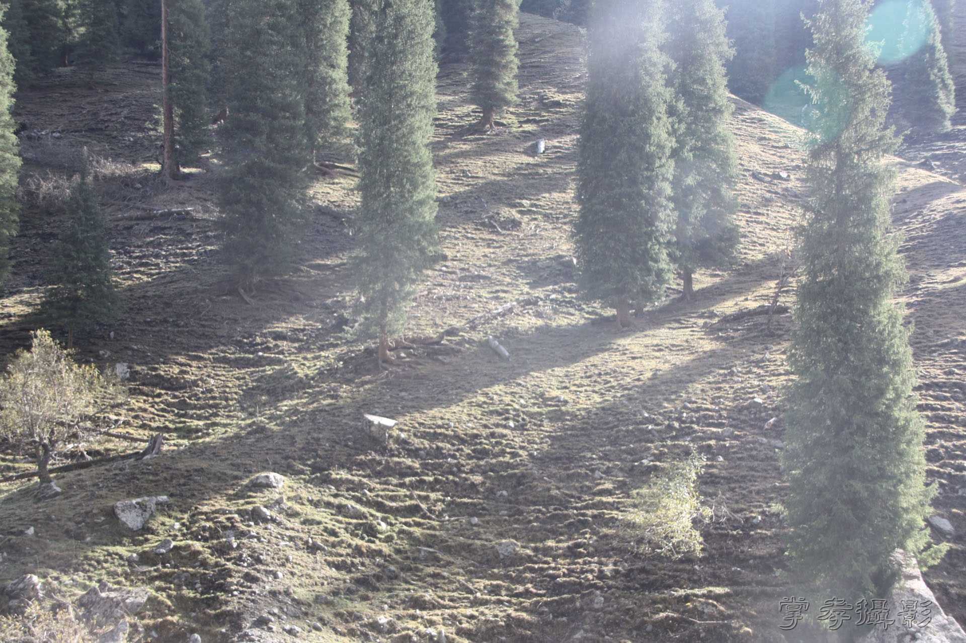 ͽ����Խ��ɽ����̾�����½� (223).jpg