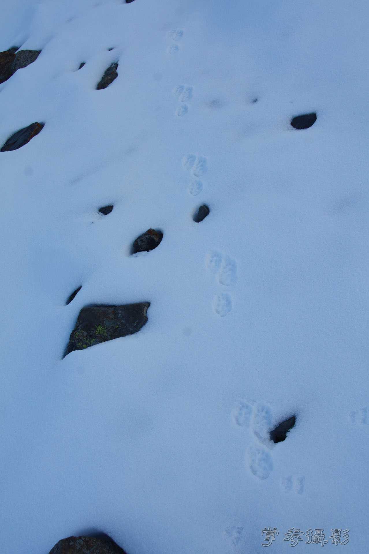 ͽ����Խ��ɽ����̾�����½� (373).jpg