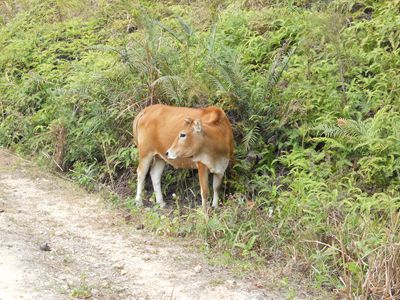 ��Ƭ 1536_����.jpg