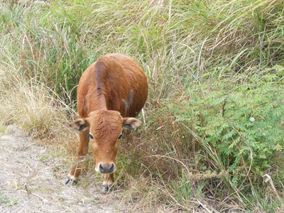 ��Ƭ 1538_����.jpg