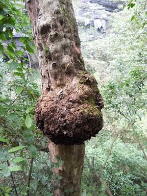 ��Ƭ 1567_����.jpg