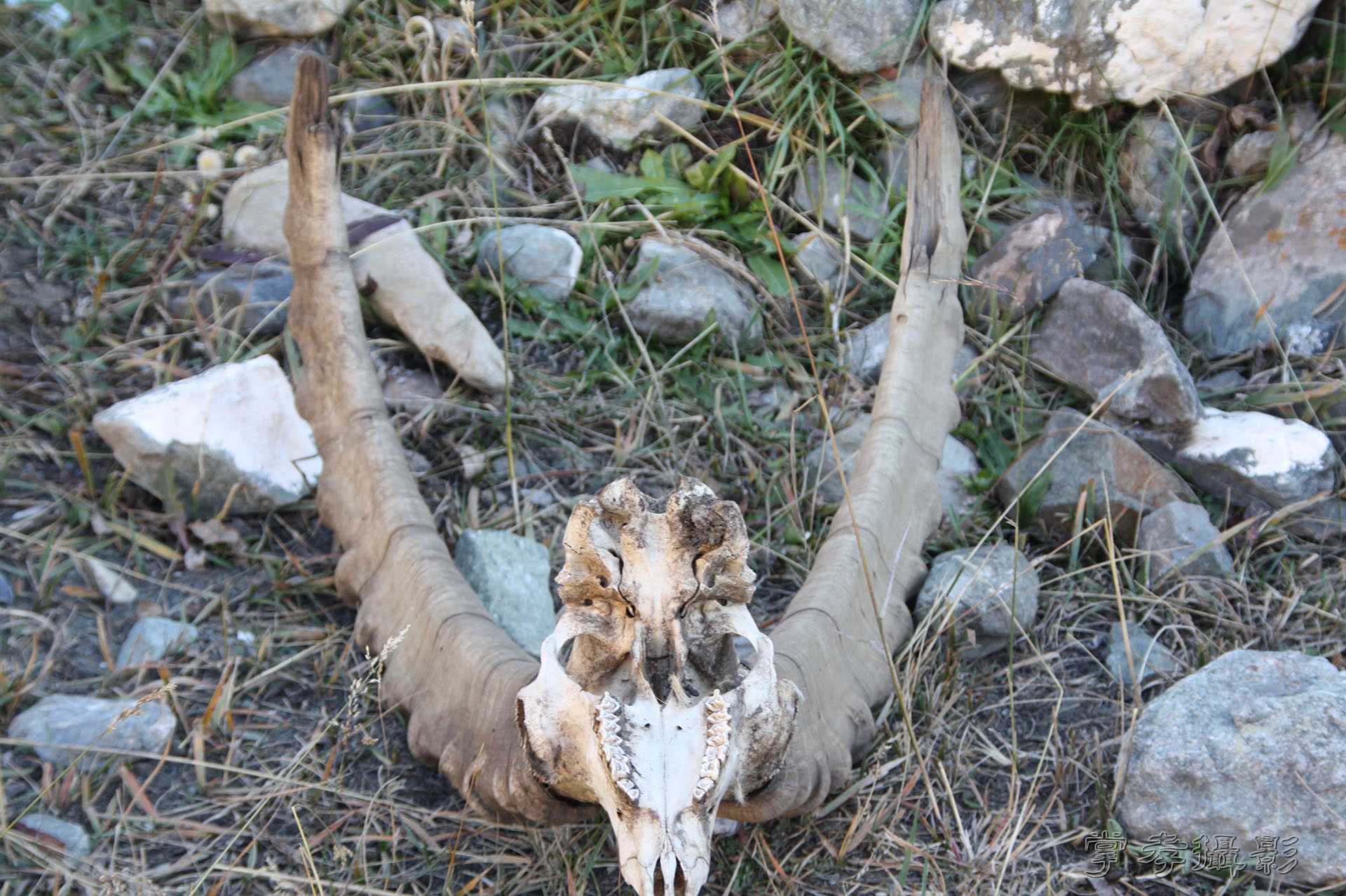 ͽ����Խ��ɽ����̾�����½� (452).jpg