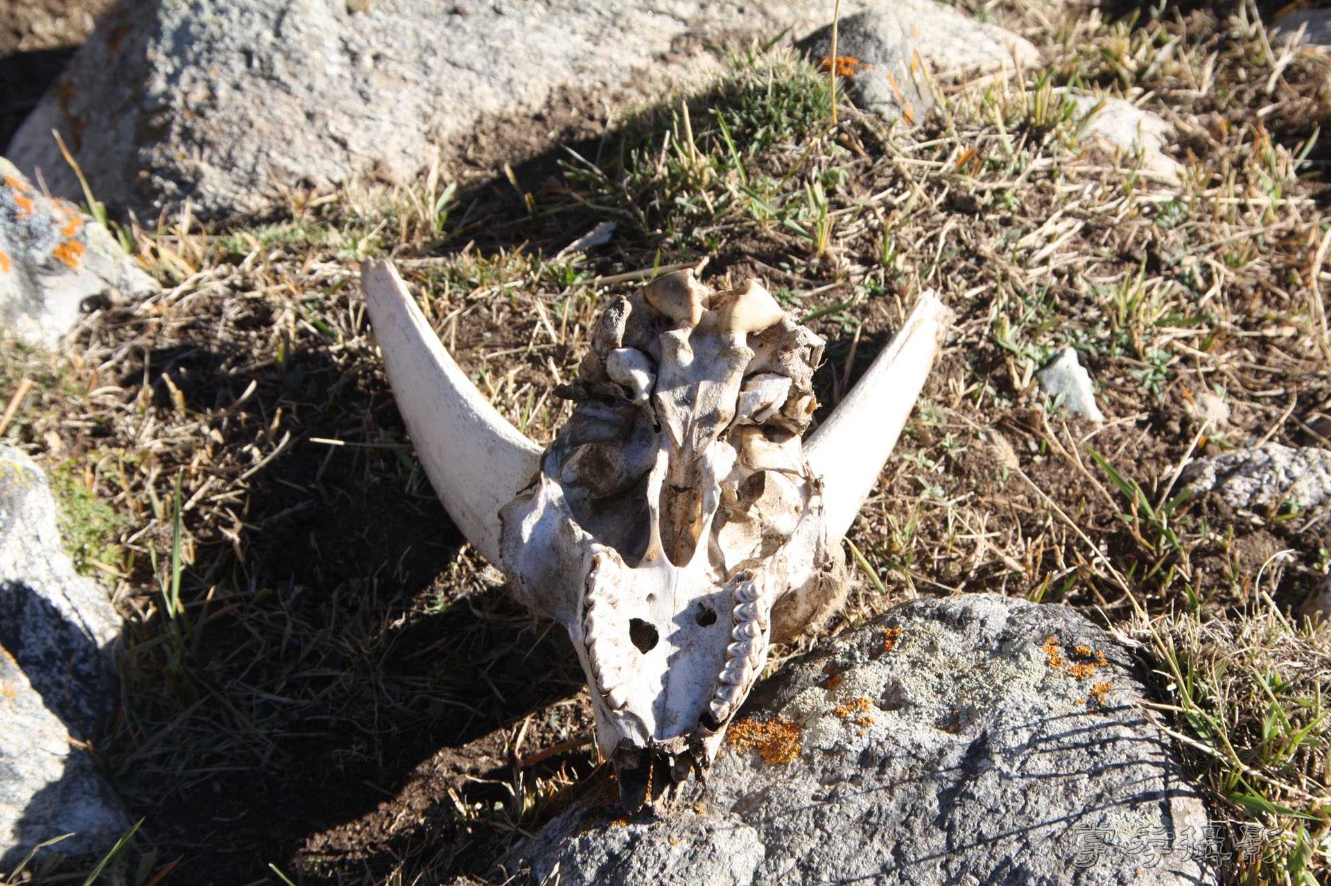 ͽ����Խ��ɽ����̾�����½� (474).jpg