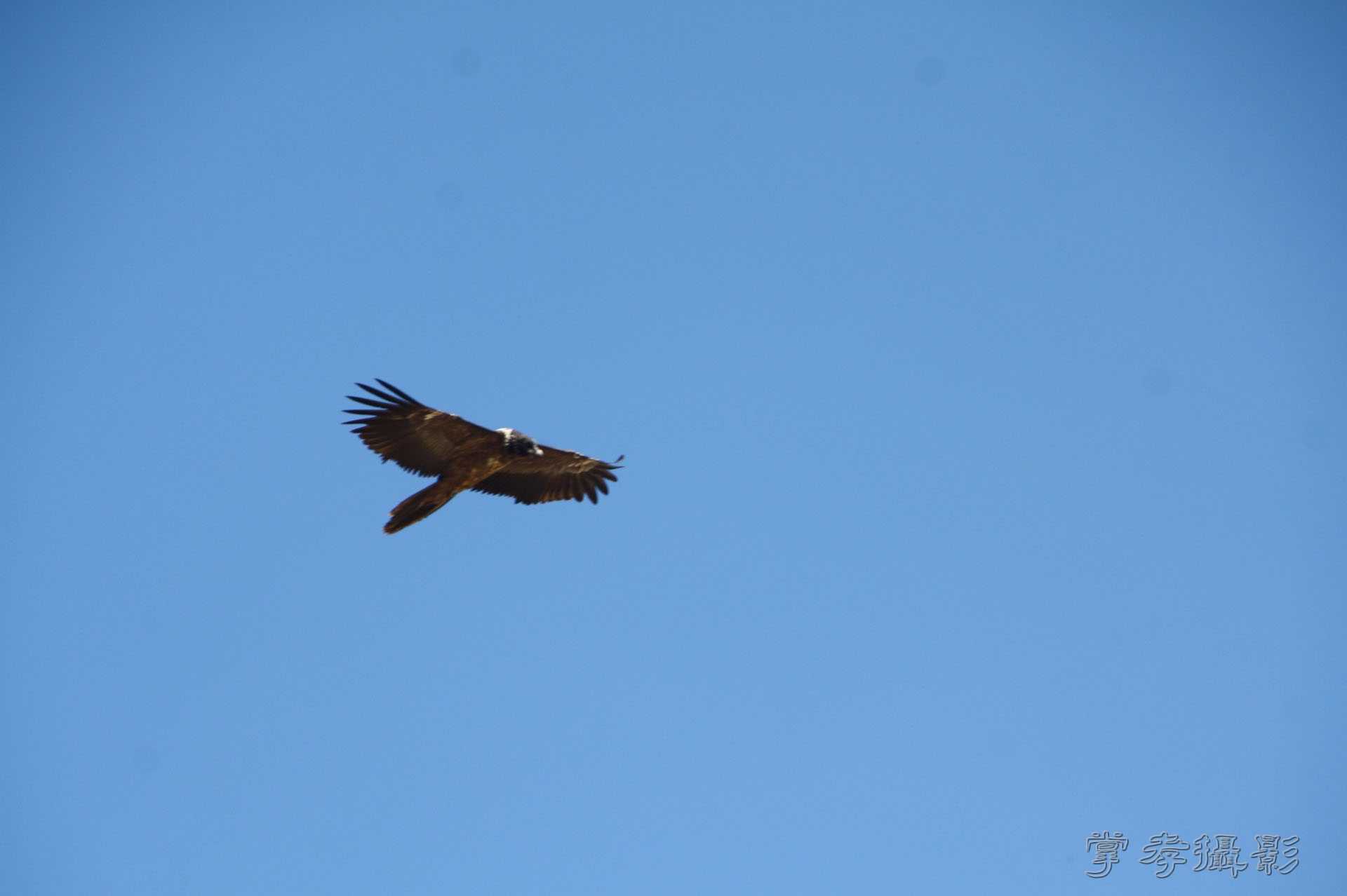 ͽ����Խ��ɽ����̾�����½� (496).jpg