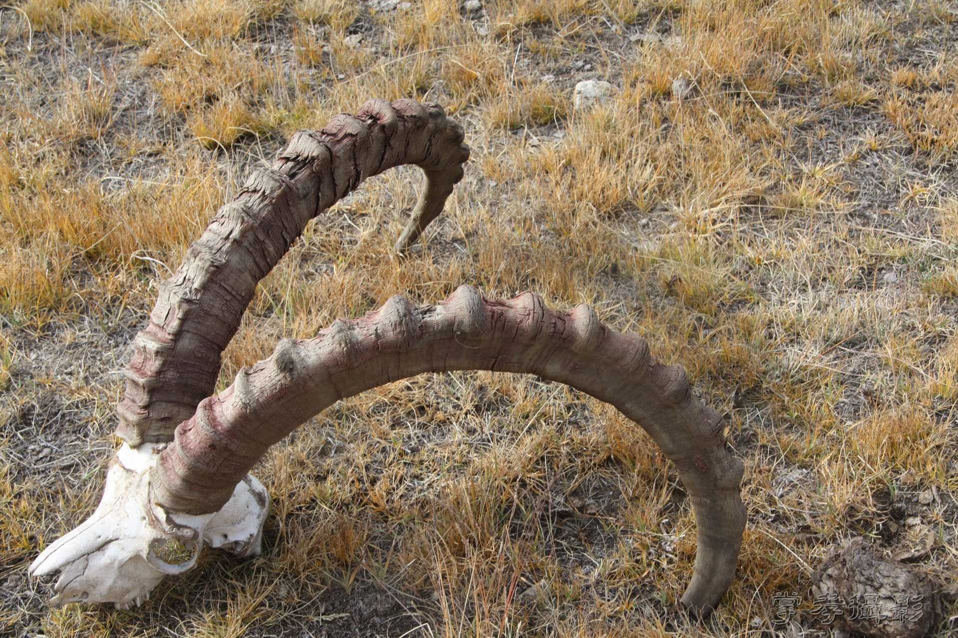 ͽ����Խ��ɽ����̾�����½� (646).jpg