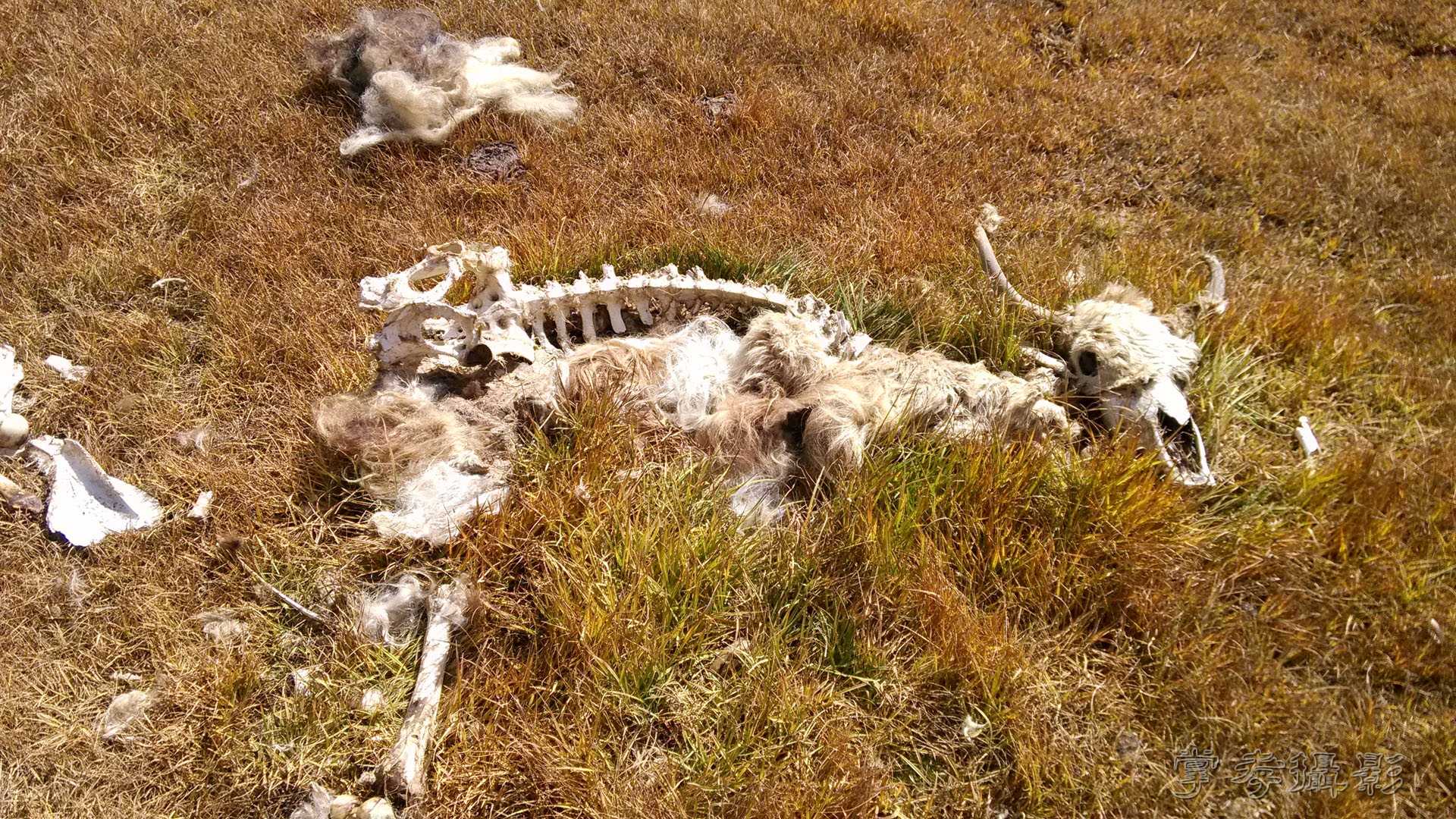 ͽ����Խ��ɽ����̾�����½����ֻ��� (174).jpg