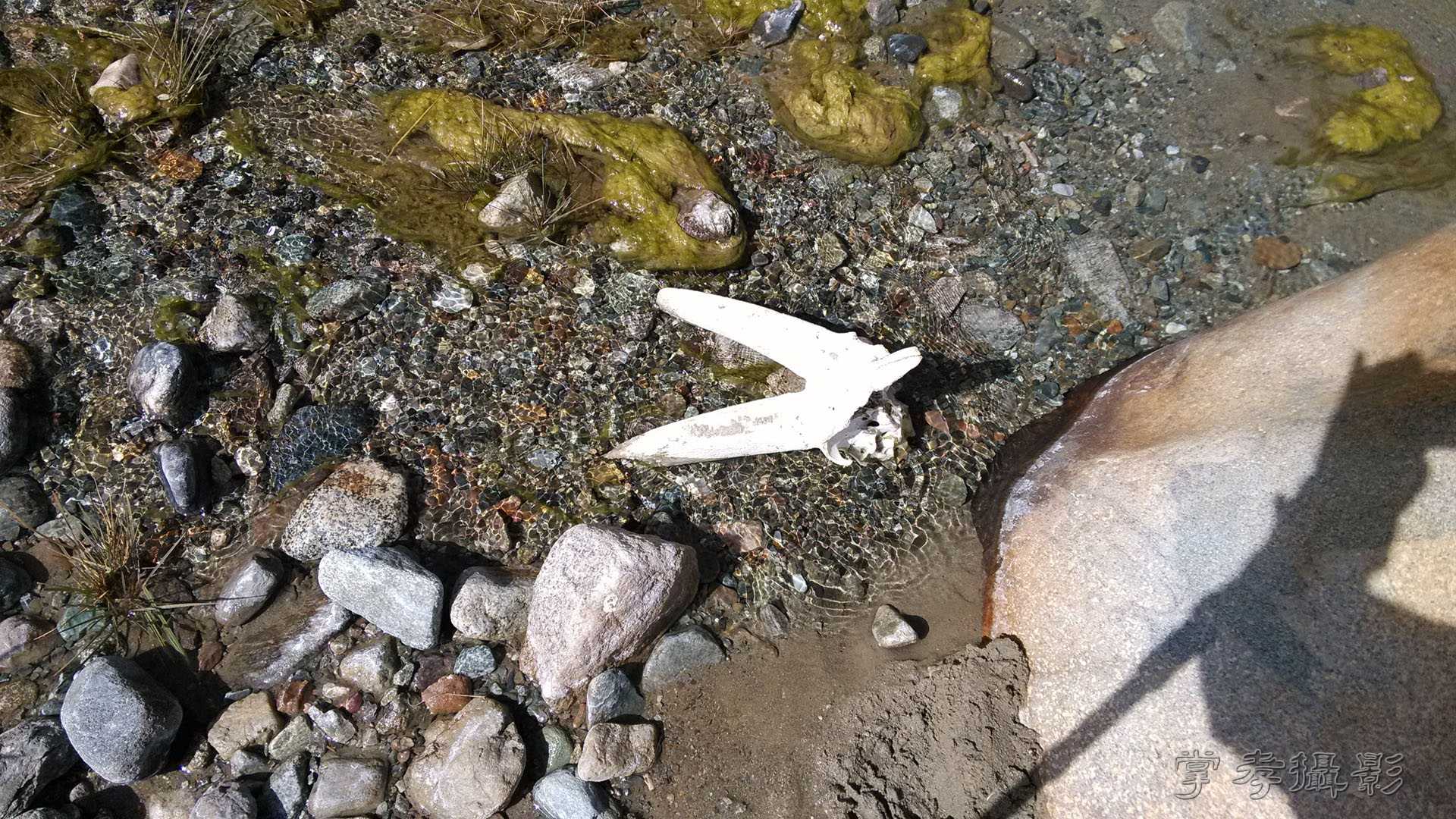 ͽ����Խ��ɽ����̾�����½����ֻ��� (175).jpg