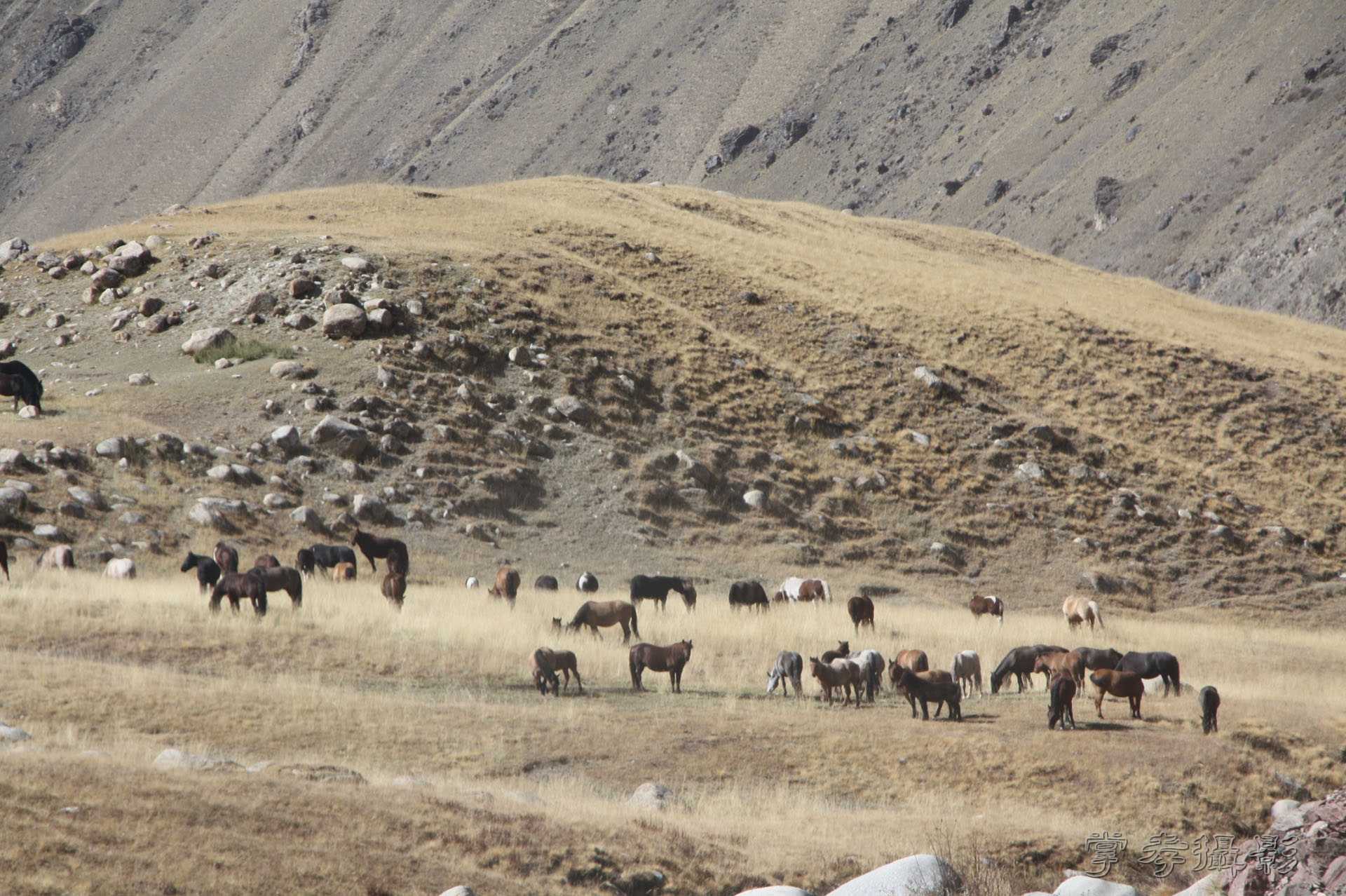 ͽ����Խ��ɽ����̾�����½� (677).jpg