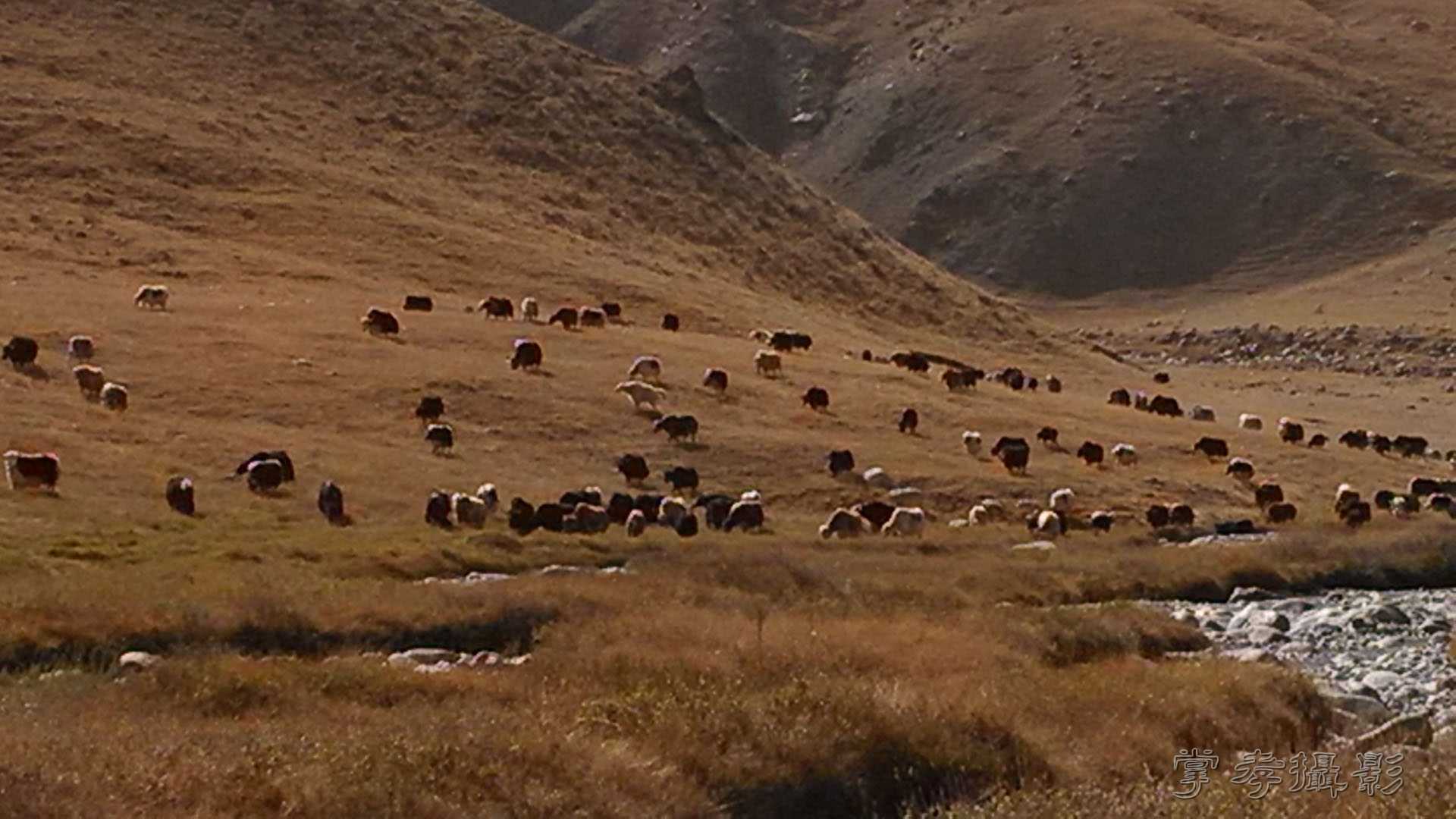 ͽ����Խ��ɽ����̾�����½����ֻ��� (180).jpg