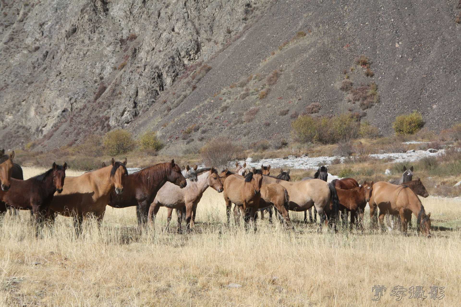 ͽ����Խ��ɽ����̾�����½� (681).jpg