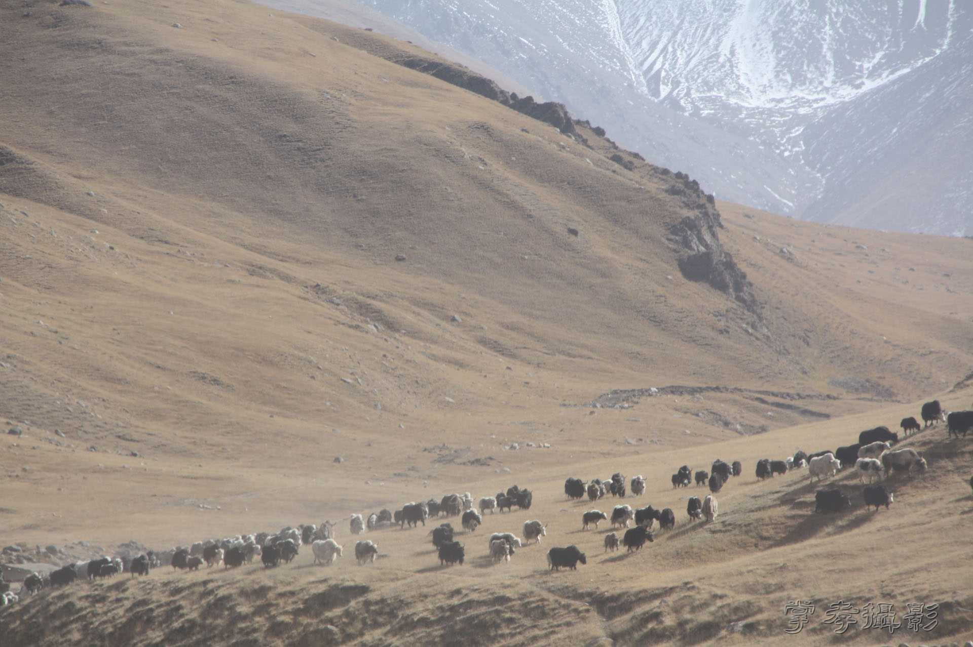 ͽ����Խ��ɽ����̾�����½� (699).jpg