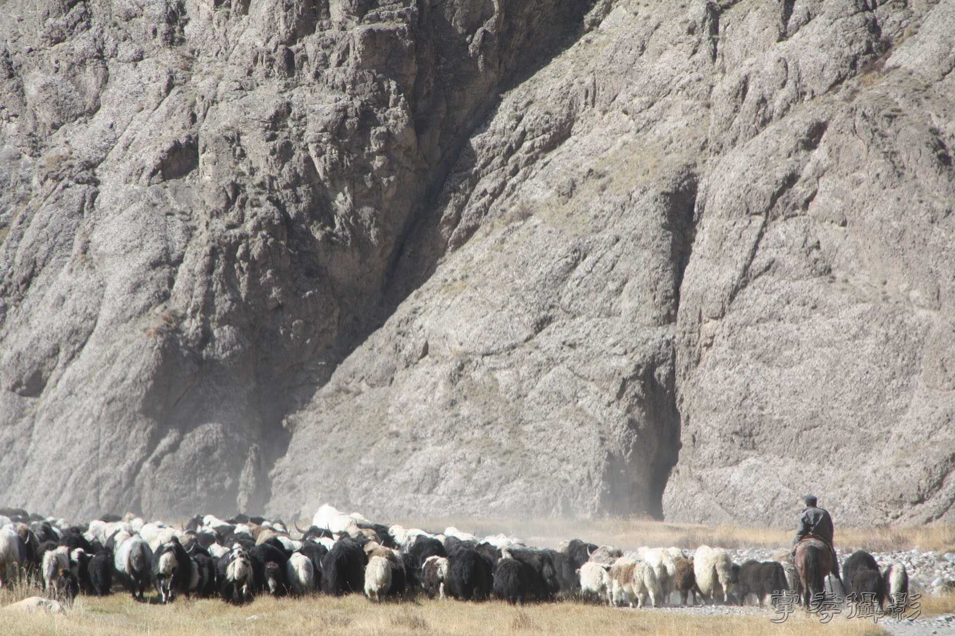 ͽ����Խ��ɽ����̾�����½� (708).jpg