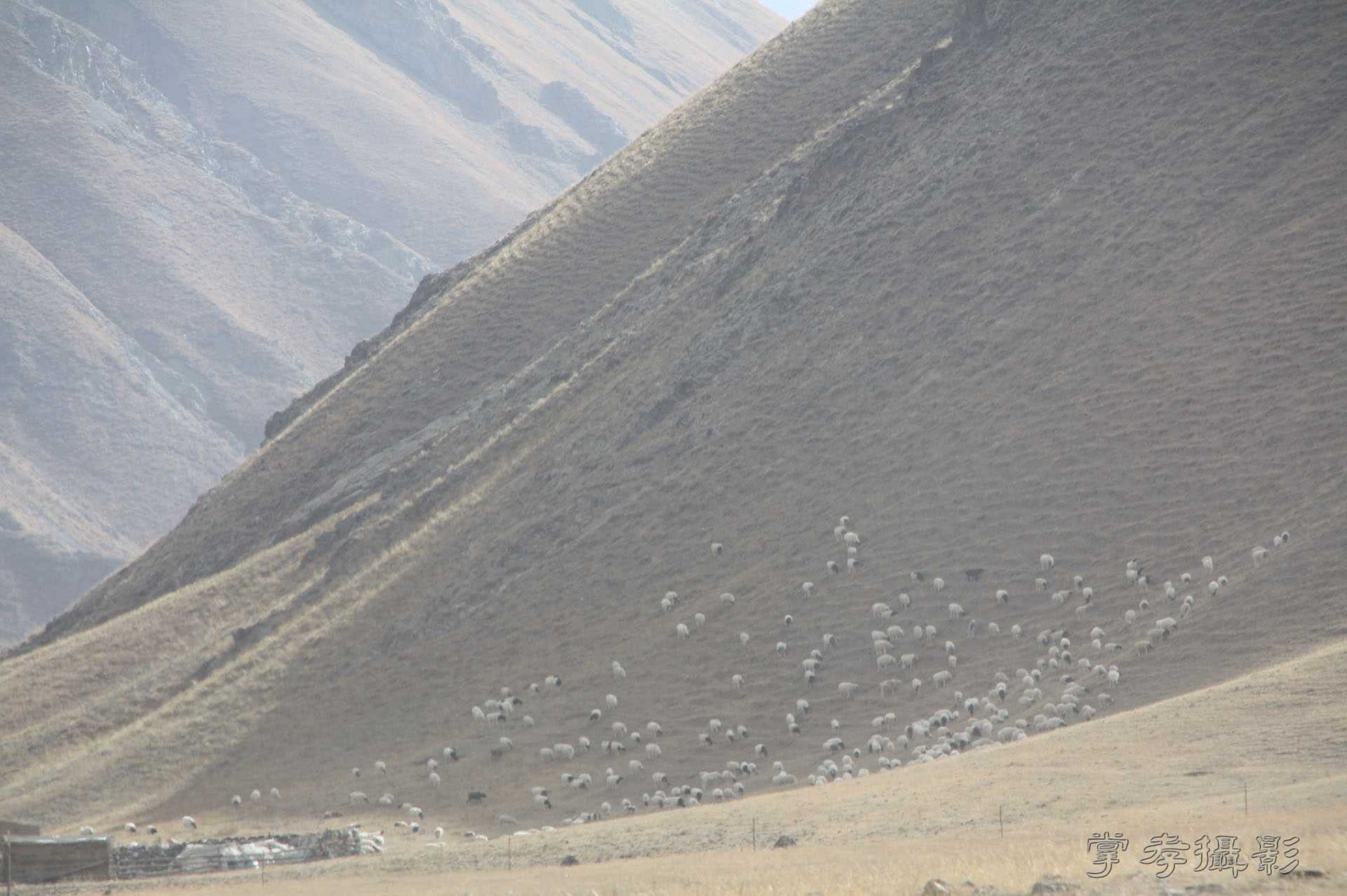 ͽ����Խ��ɽ����̾�����½� (716).jpg