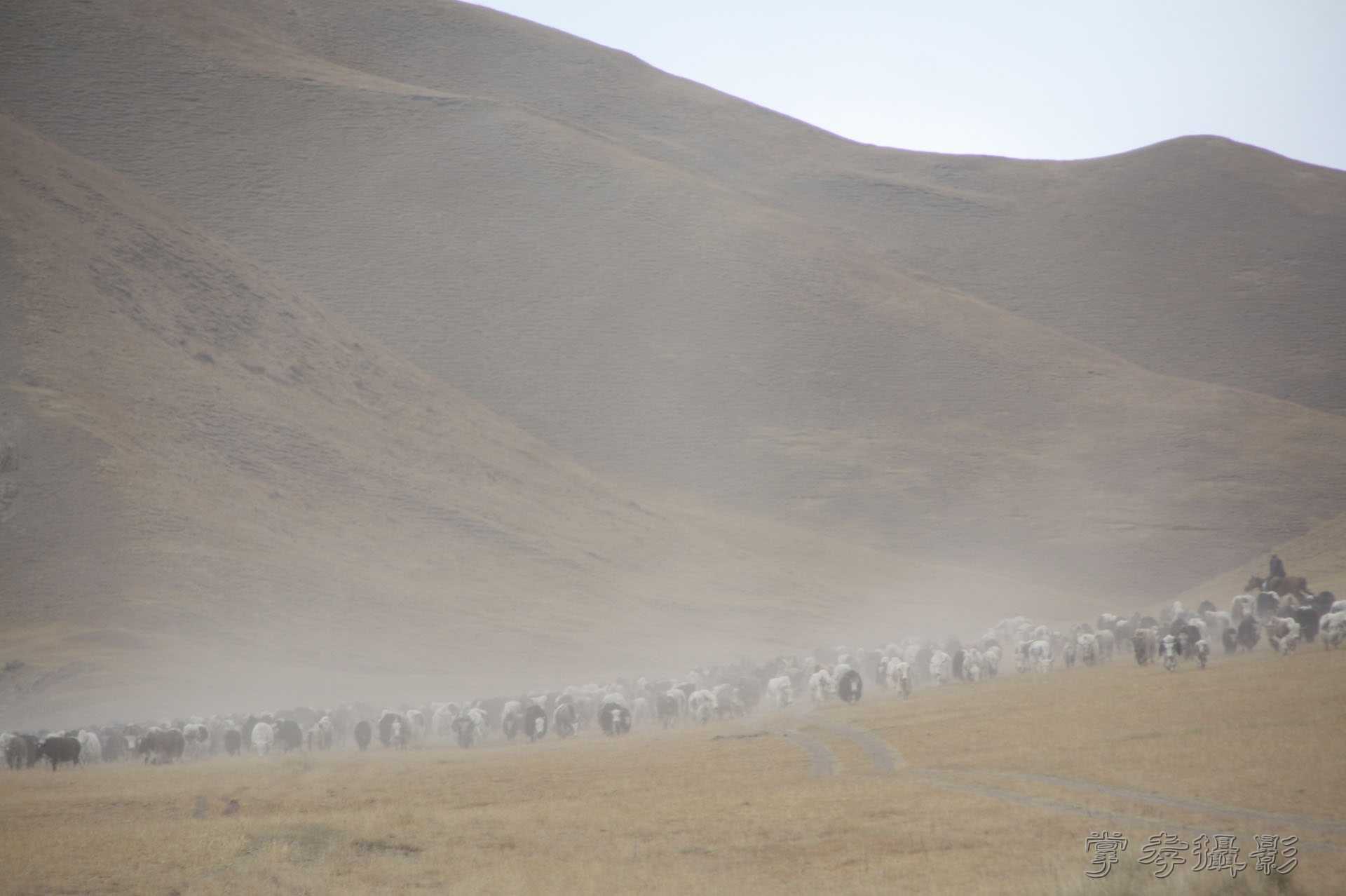 ͽ����Խ��ɽ����̾�����½� (725).jpg