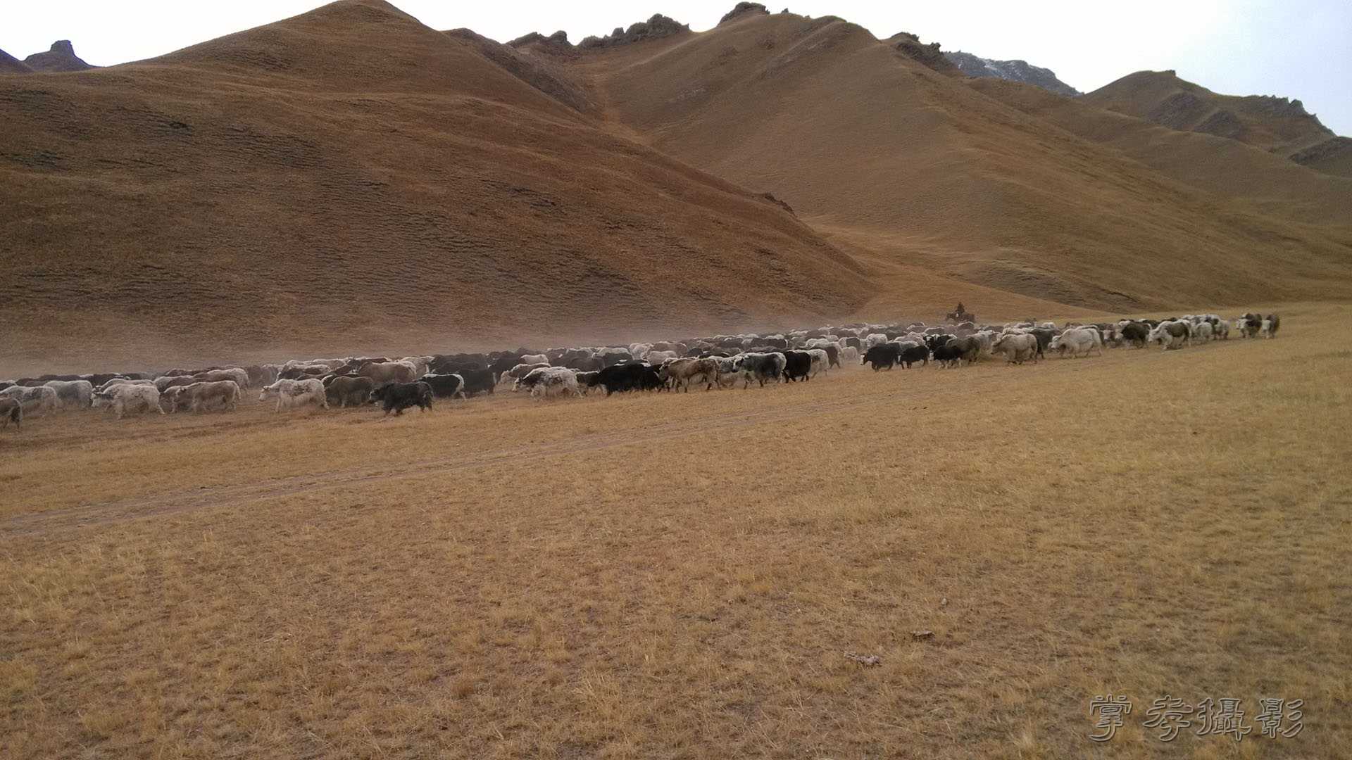 ͽ����Խ��ɽ����̾�����½����ֻ��� (191).jpg