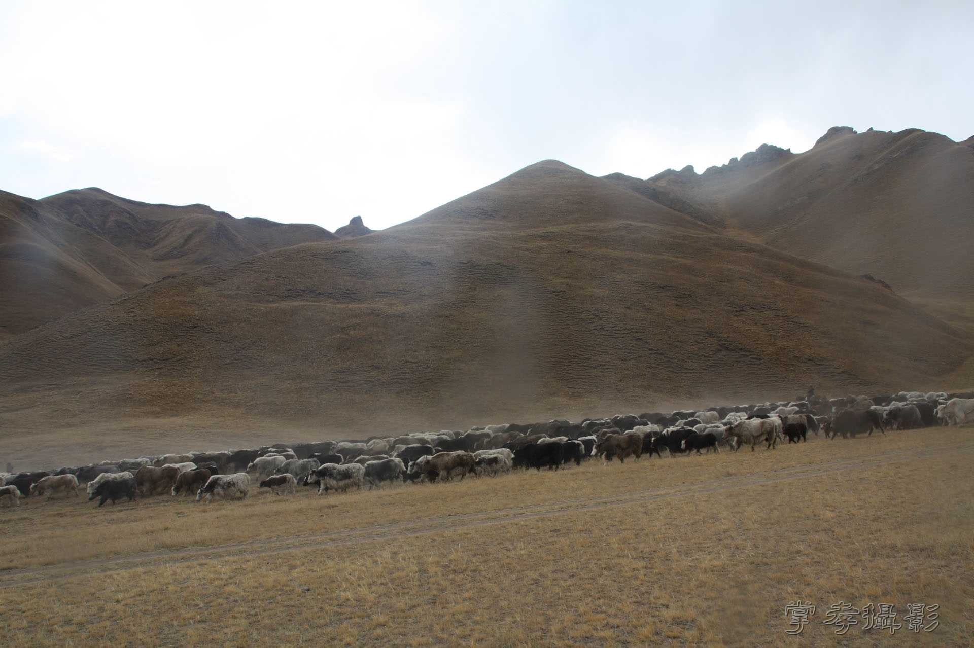 ͽ����Խ��ɽ����̾�����½� (730).jpg