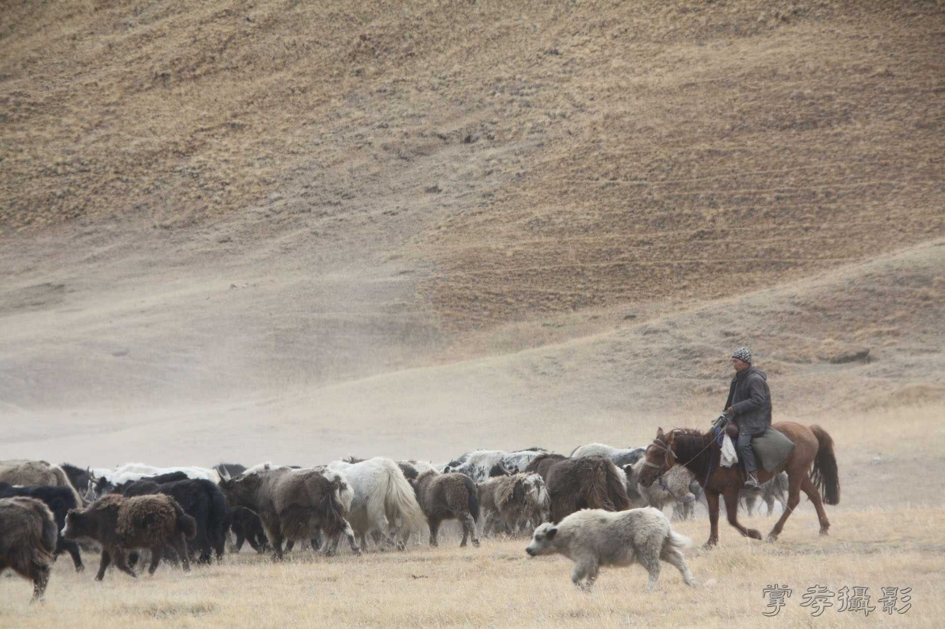 ͽ����Խ��ɽ����̾�����½� (744).jpg