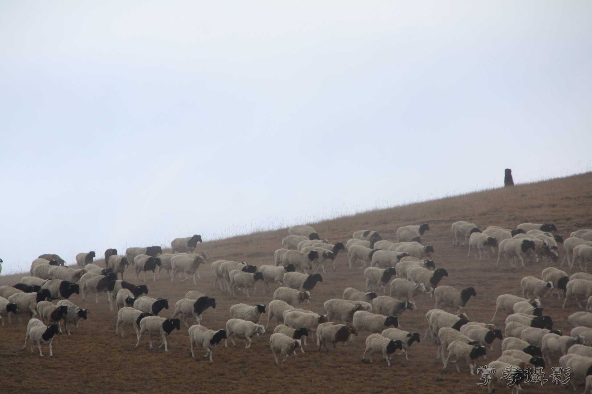 ͽ����Խ��ɽ����̾�����½� (754).jpg