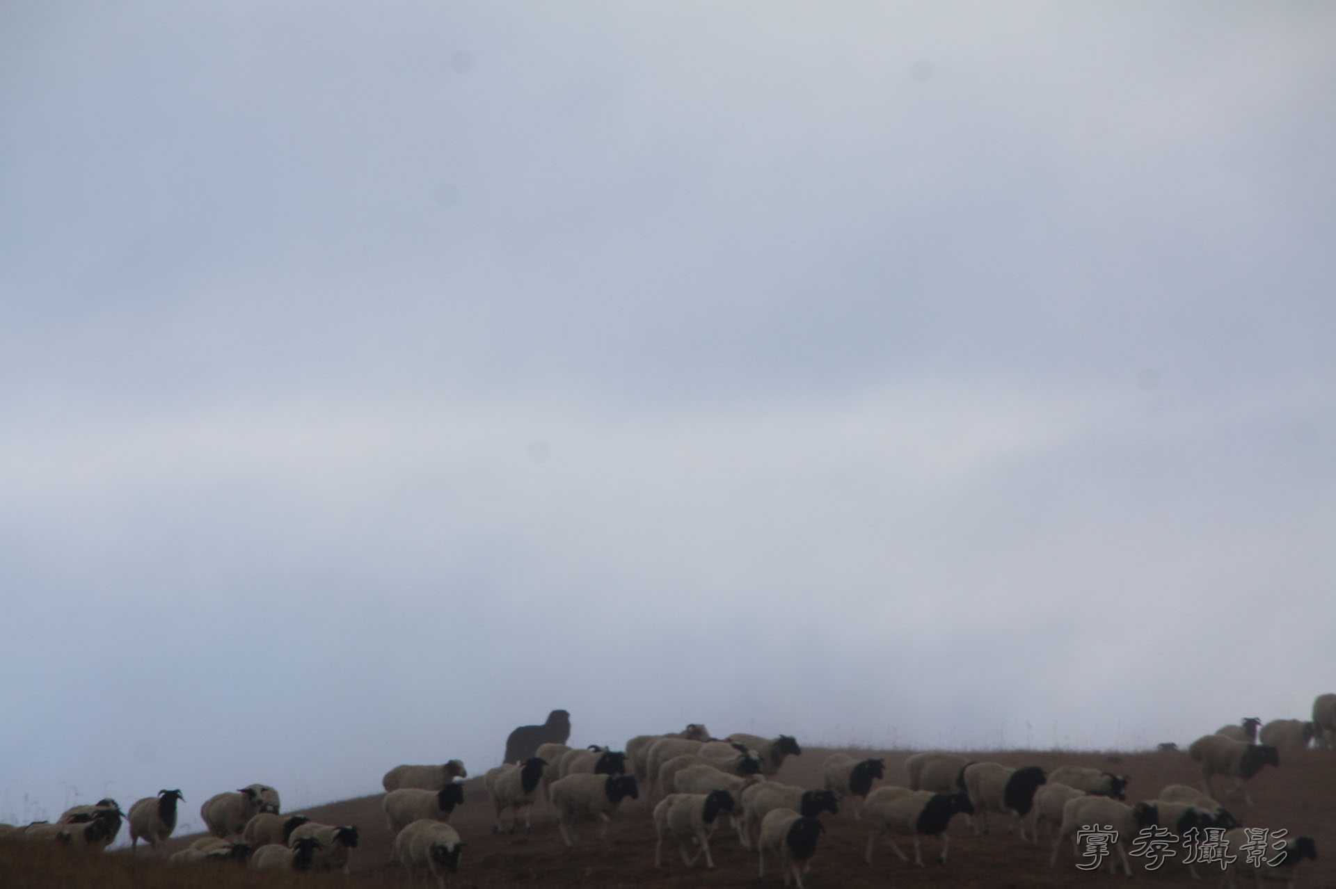 ͽ����Խ��ɽ����̾�����½� (756).jpg