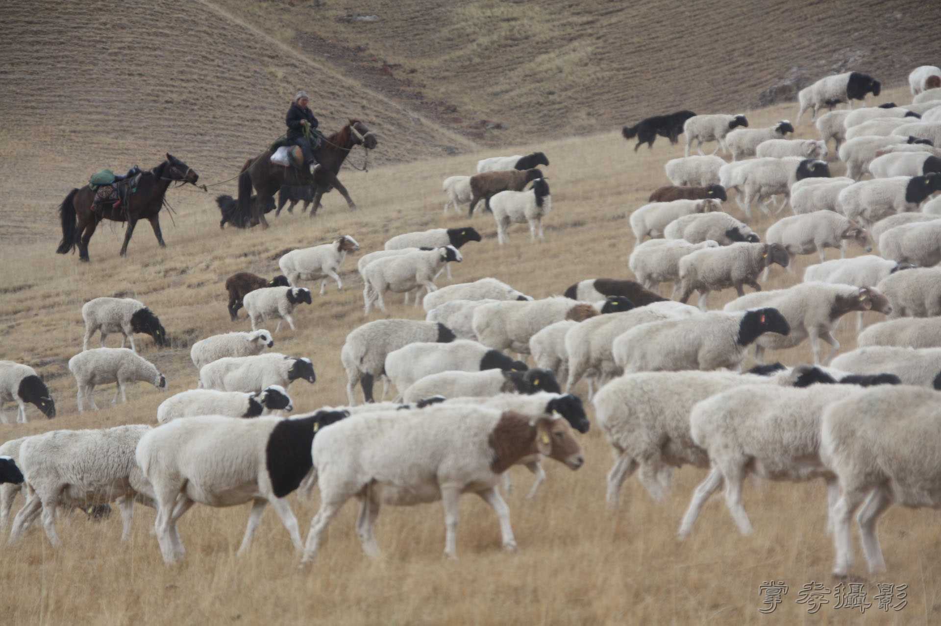 ͽ����Խ��ɽ����̾�����½� (762).jpg