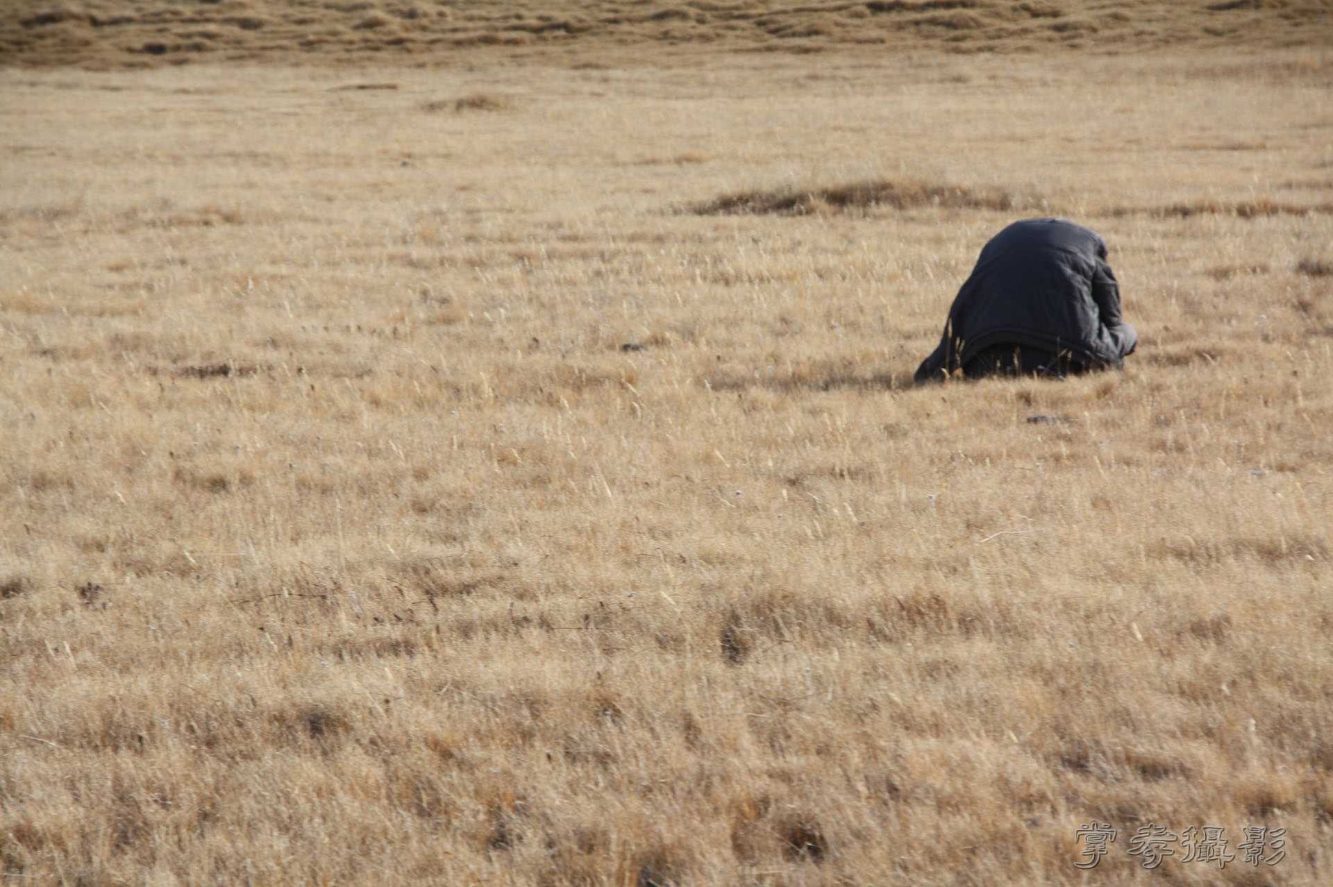 ͽ����Խ��ɽ����̾�����½� (785).jpg