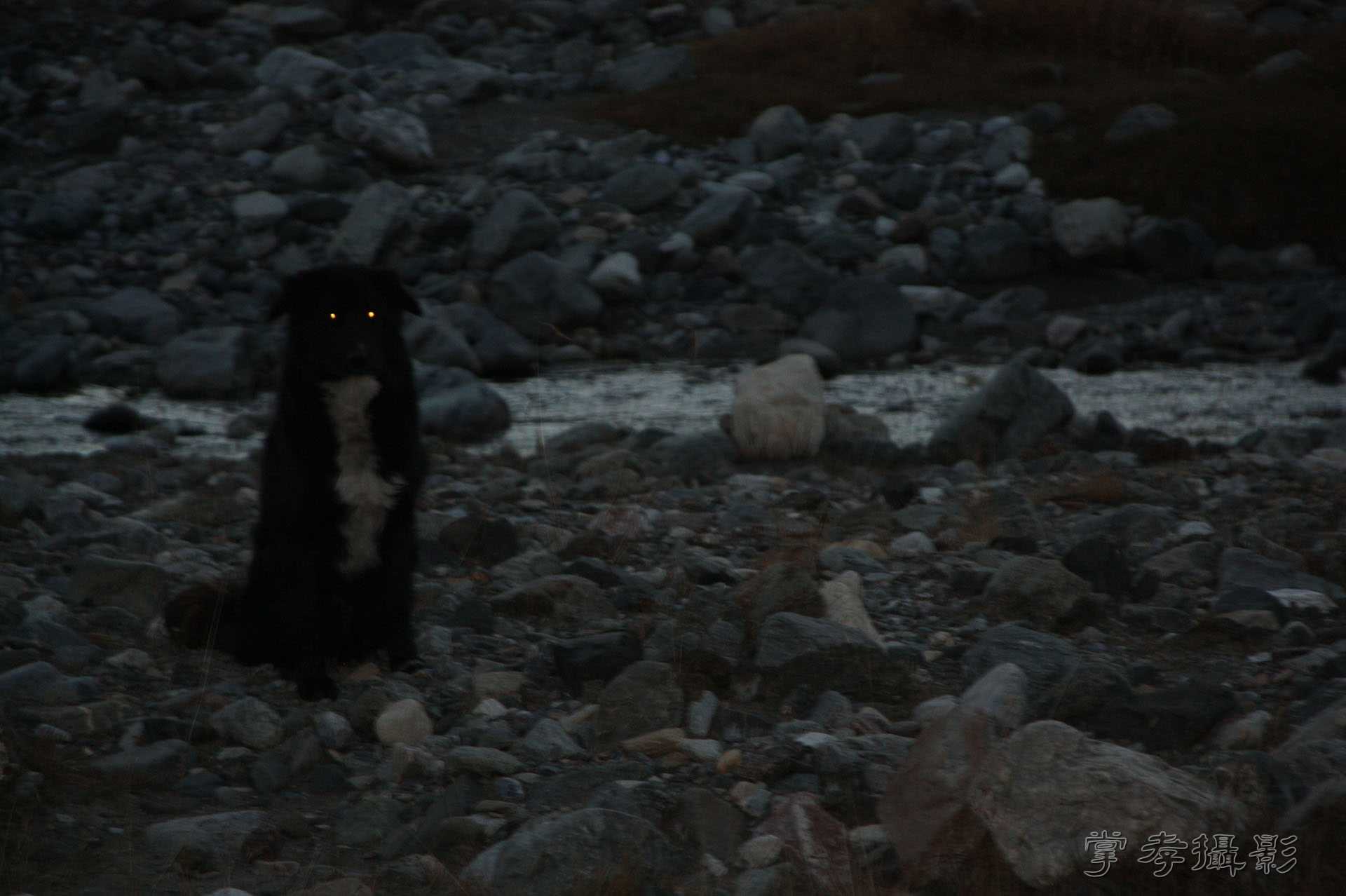 ͽ����Խ��ɽ����̾�����½� (804).jpg