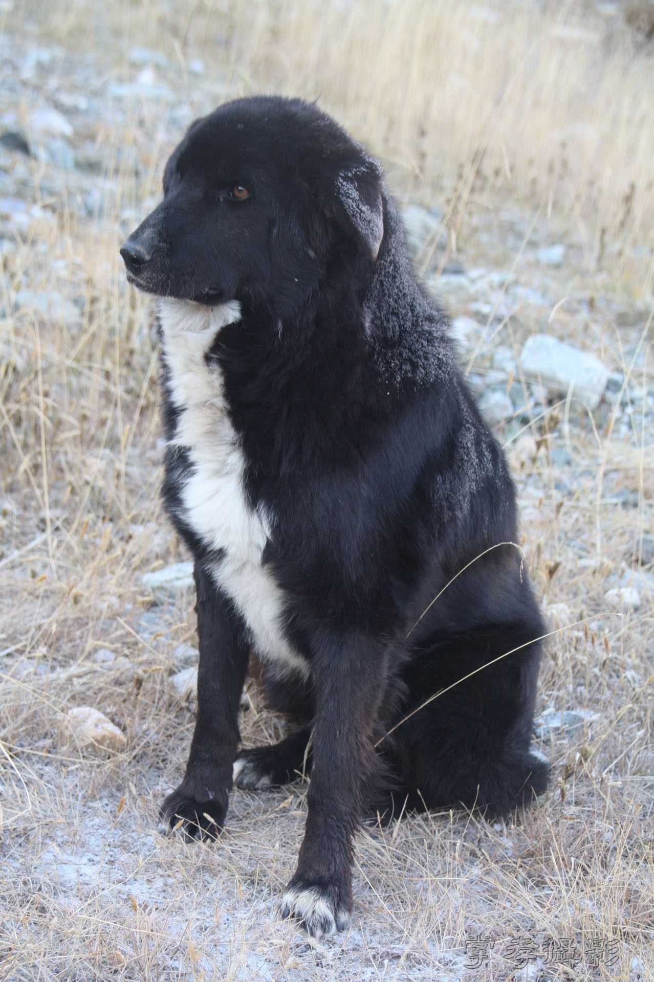 ͽ����Խ��ɽ����̾�����½� (818).jpg