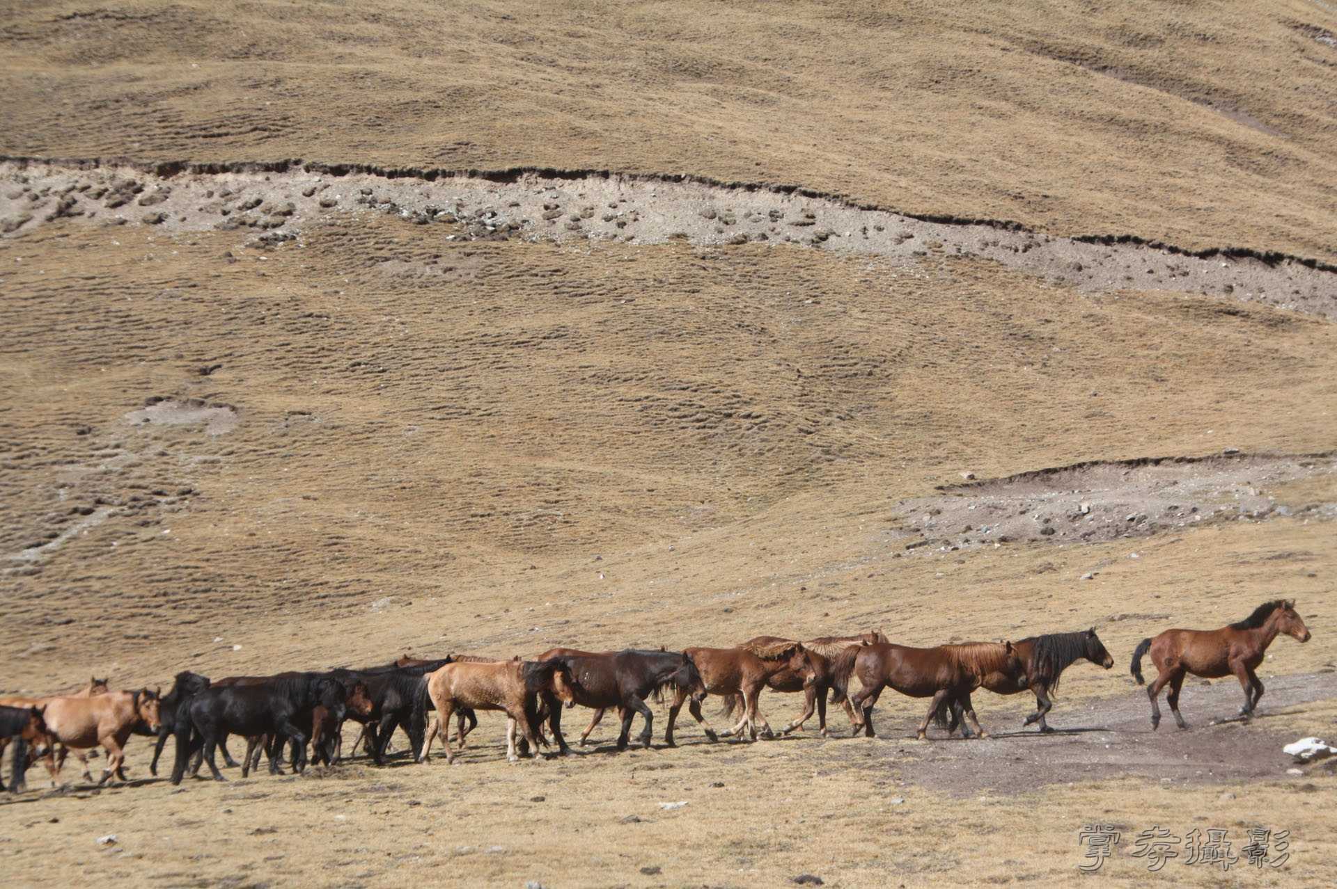 ͽ����Խ��ɽ����̾�����½� (857).jpg