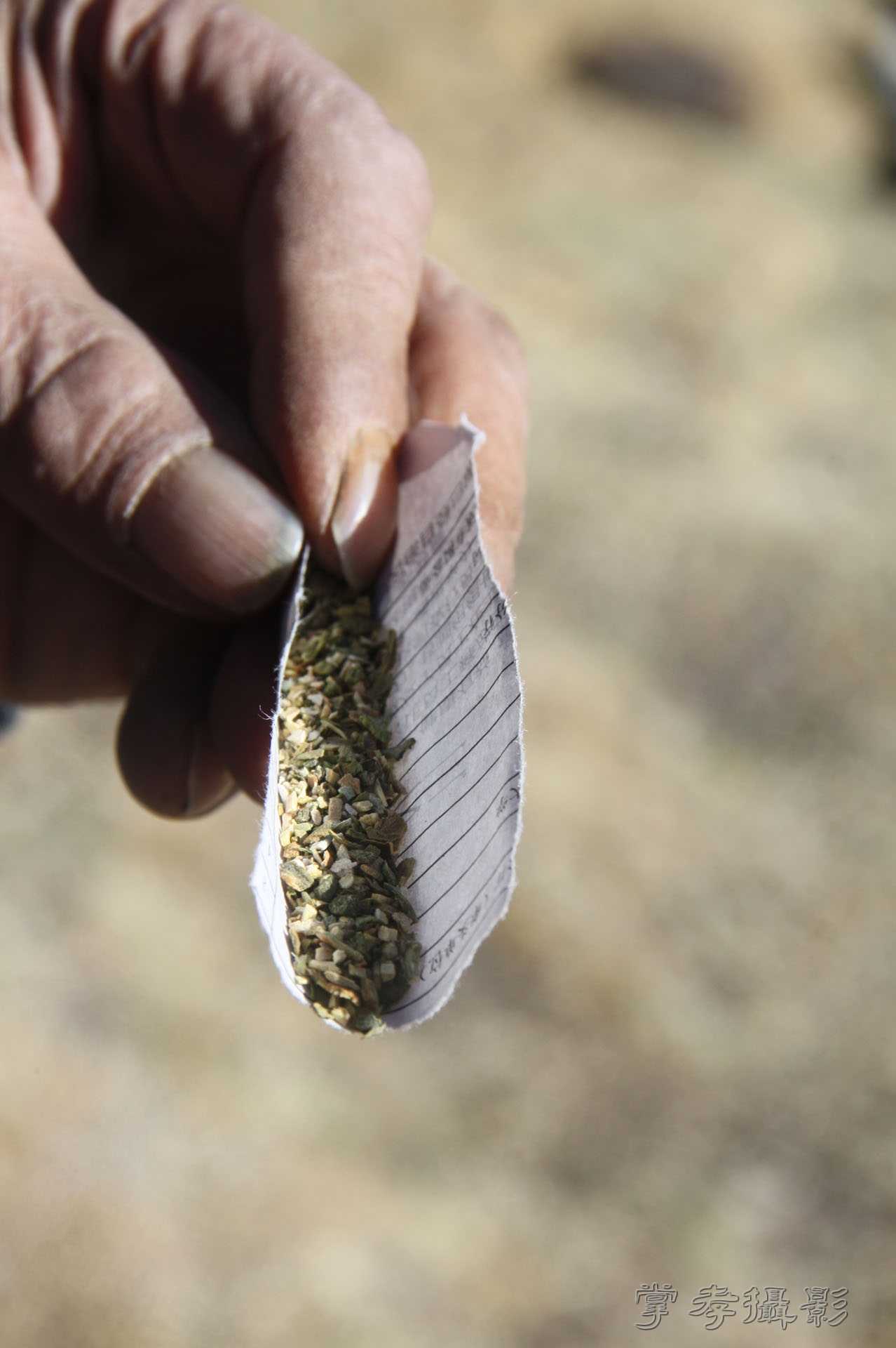 ͽ����Խ��ɽ����̾�����½� (861).jpg