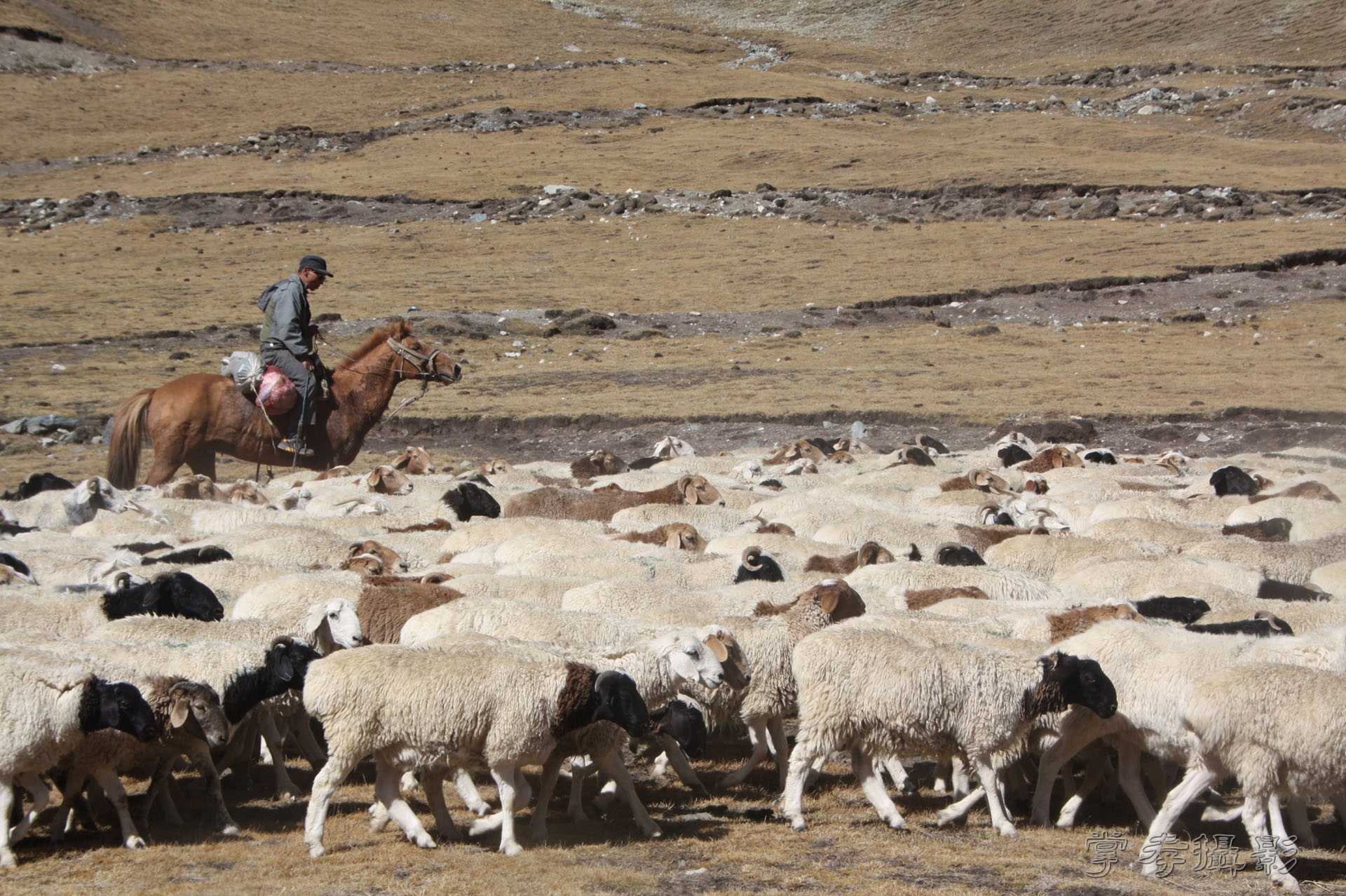 ͽ����Խ��ɽ����̾�����½� (866).jpg