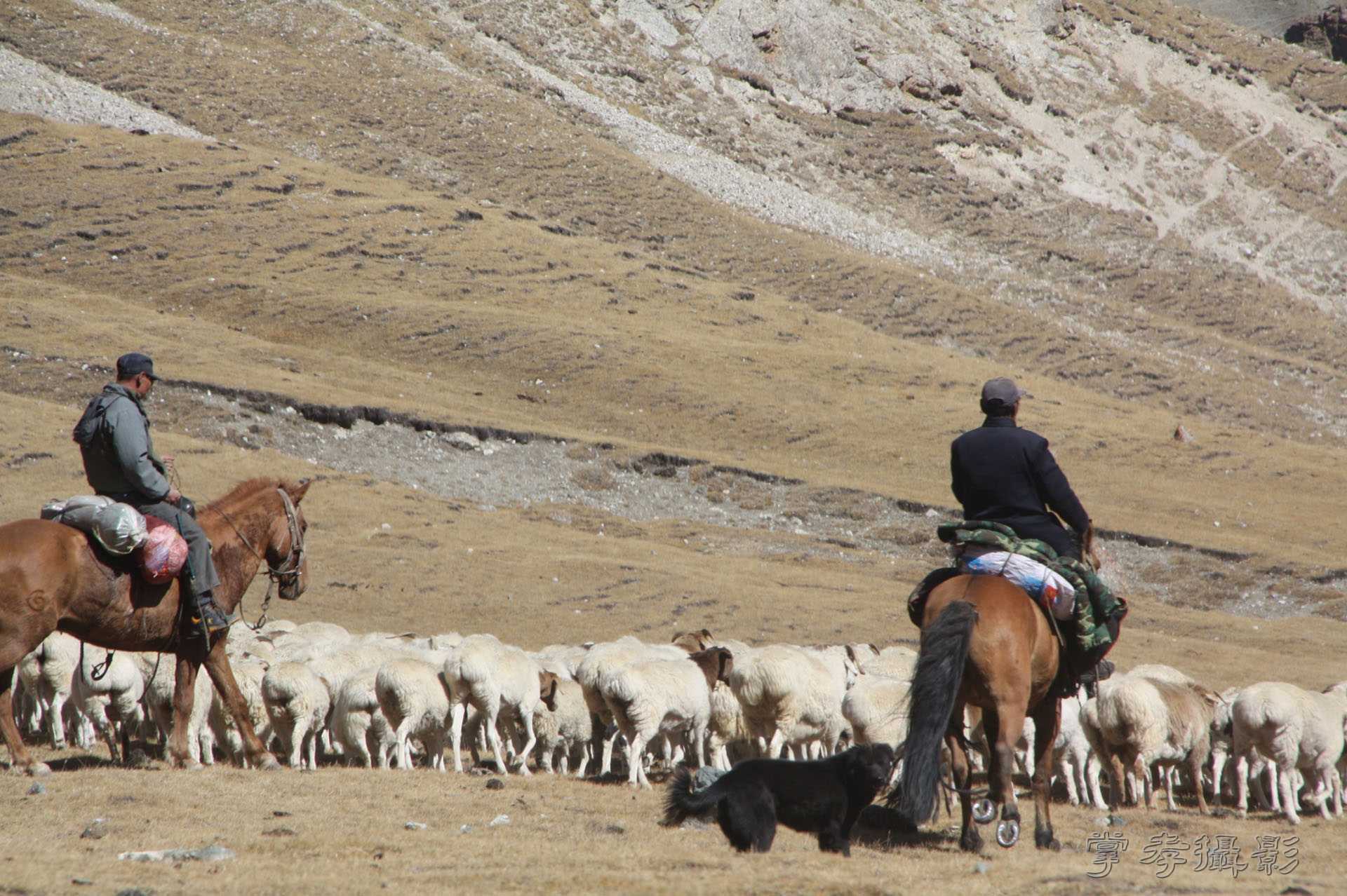 ͽ����Խ��ɽ����̾�����½� (871).jpg