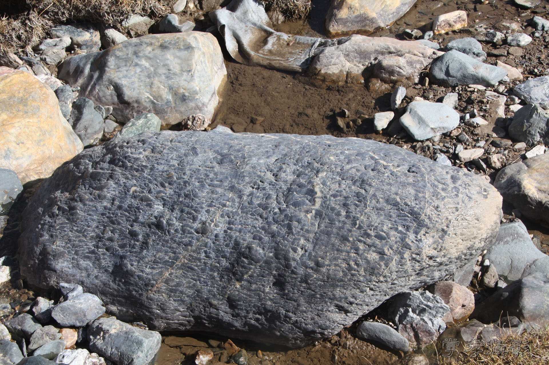 ͽ����Խ��ɽ����̾�����½� (908).jpg