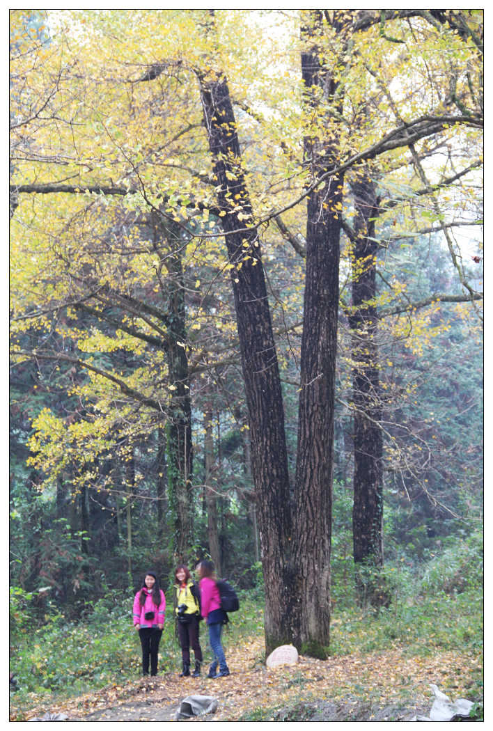 ��Ƭ 227_nEO_IMG.jpg