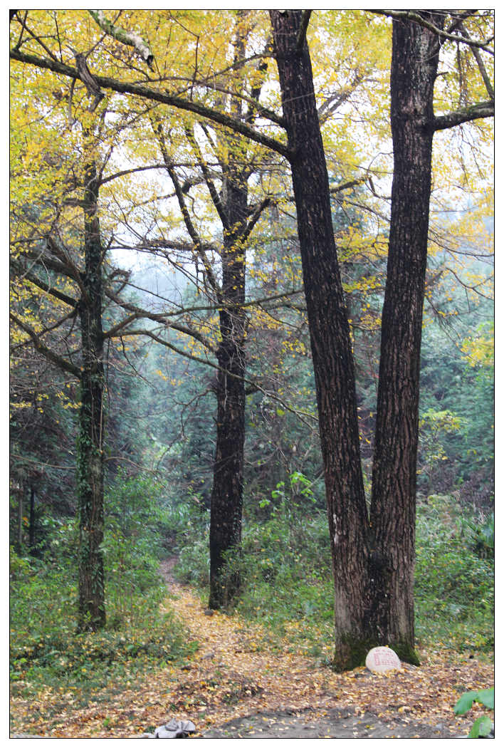 ��Ƭ 230_nEO_IMG.jpg