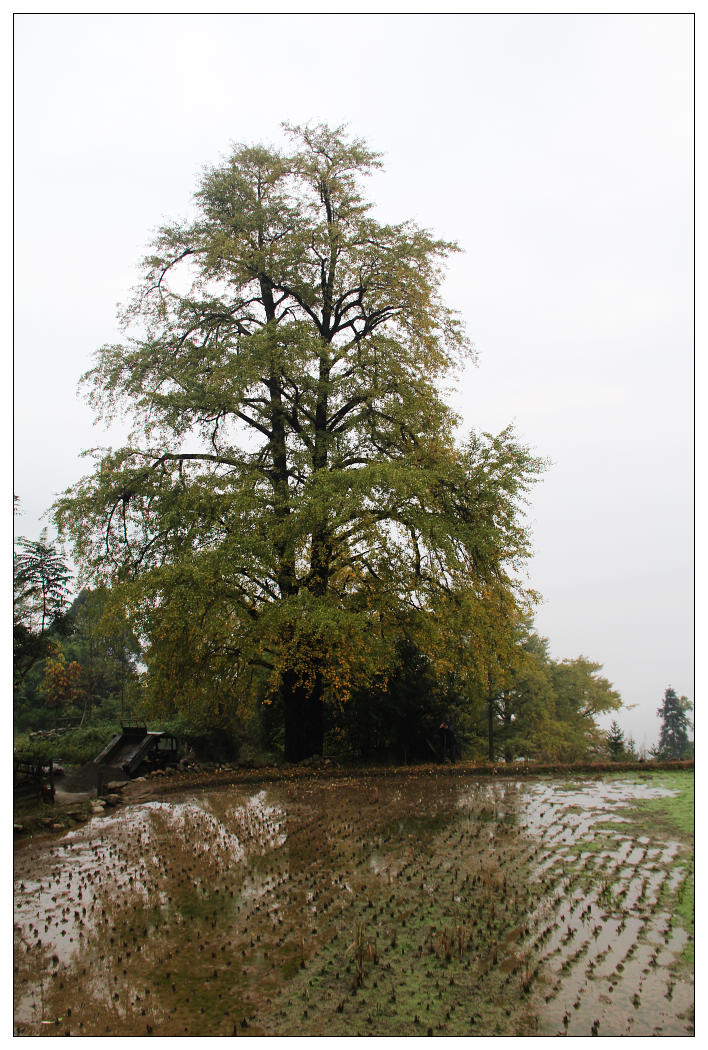 ��Ƭ 234_nEO_IMG.jpg