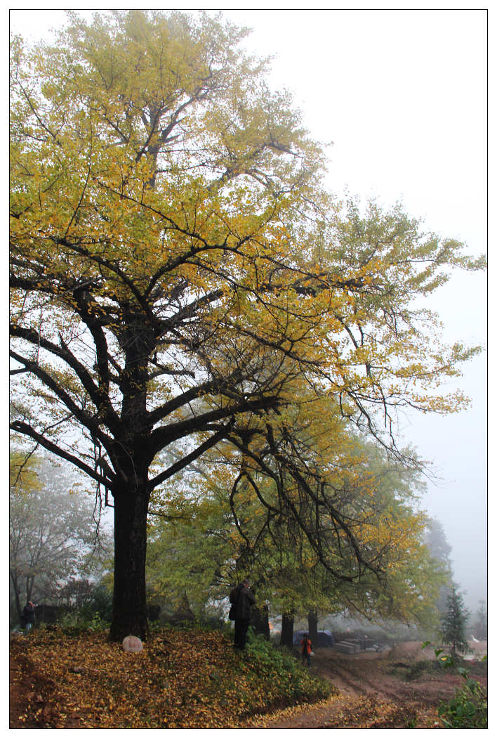 ��Ƭ 244_nEO_IMG.jpg