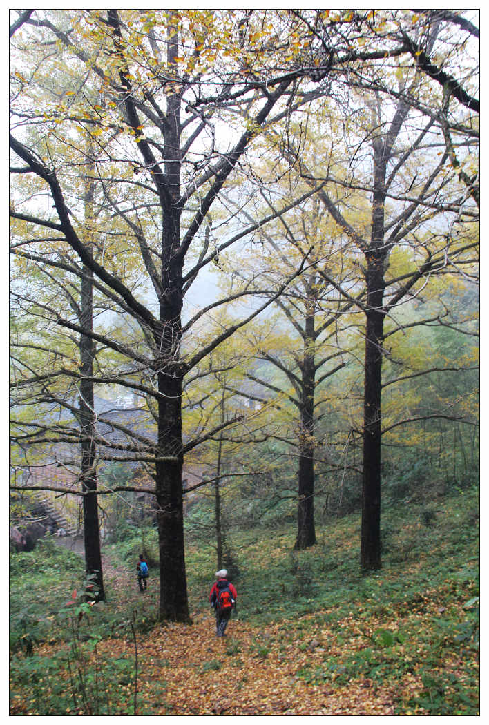 ��Ƭ 258_nEO_IMG.jpg