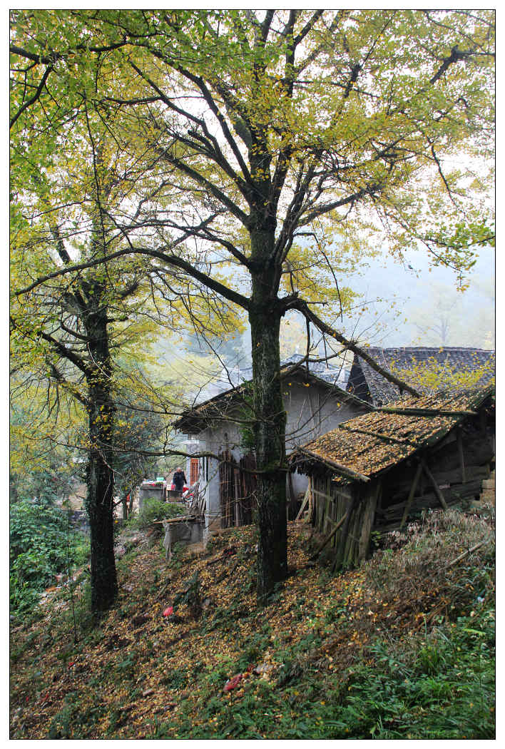 ��Ƭ 262_nEO_IMG.jpg