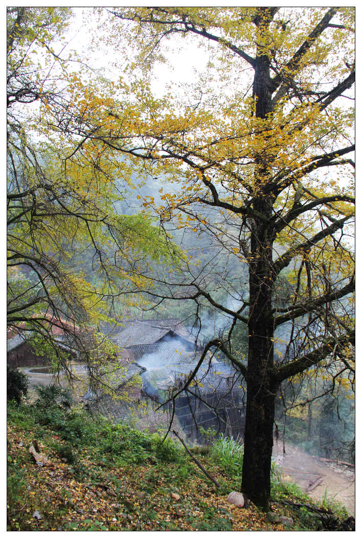 ��Ƭ 263_nEO_IMG.jpg