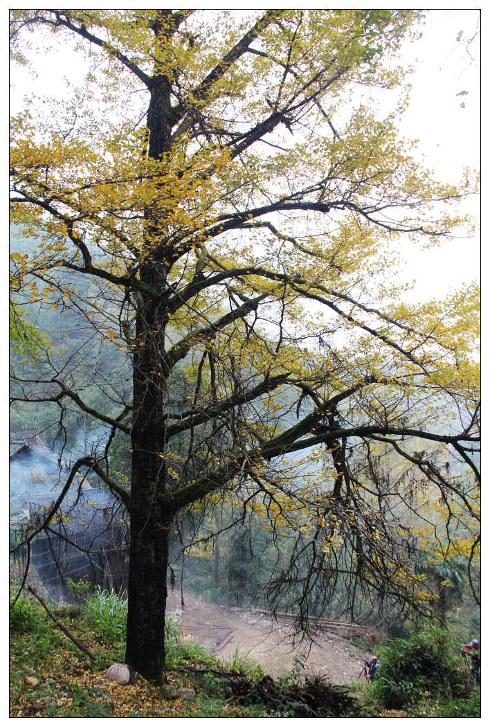 ��Ƭ 264_nEO_IMG.jpg