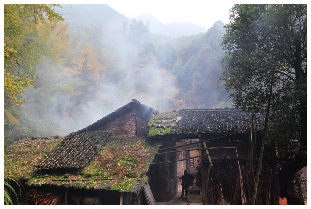 ��Ƭ 267_nEO_IMG.jpg